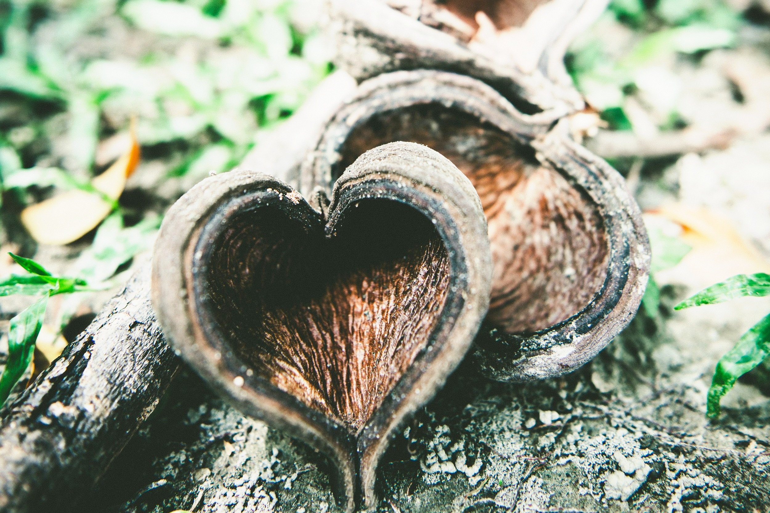 Love in Action: Making a Difference in the World