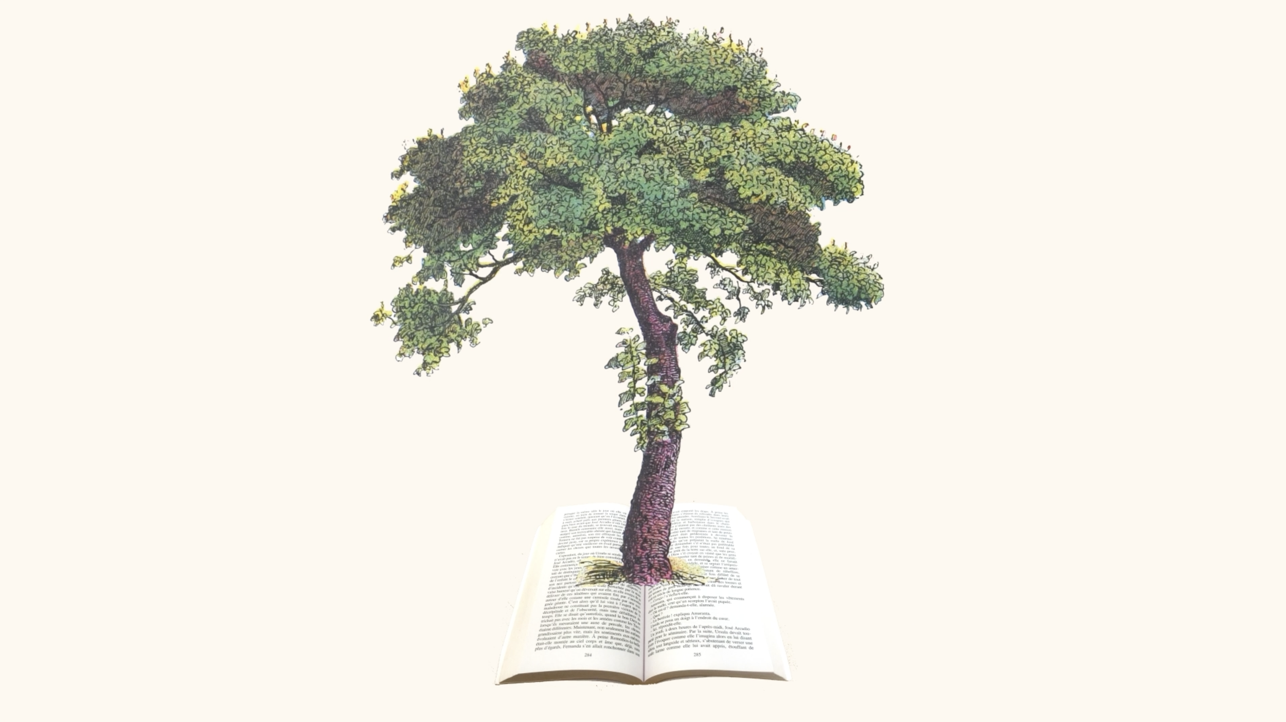 Capture d’écran 2026-01-15 à 14.00.58.png