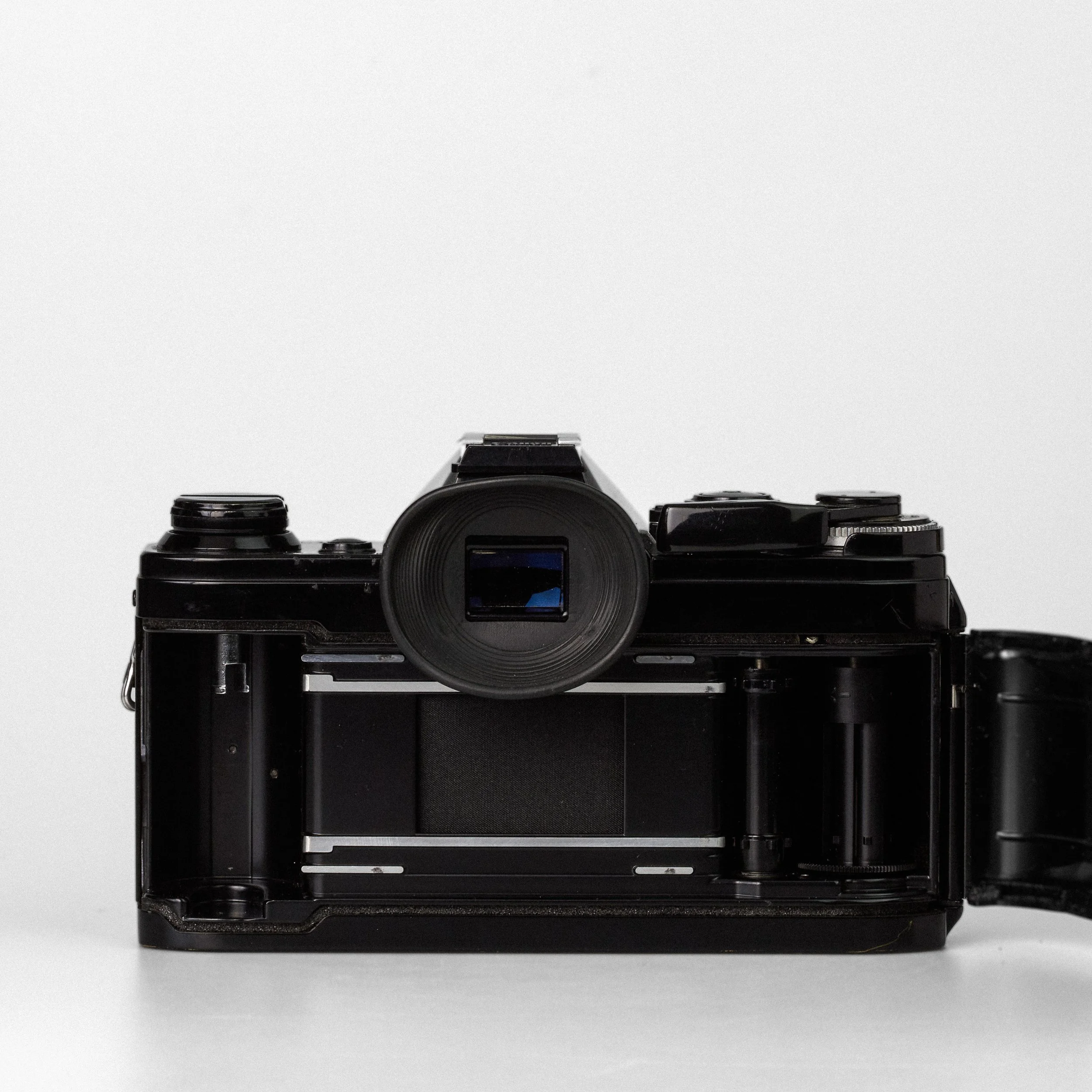 Carmencita cameras3623.jpg