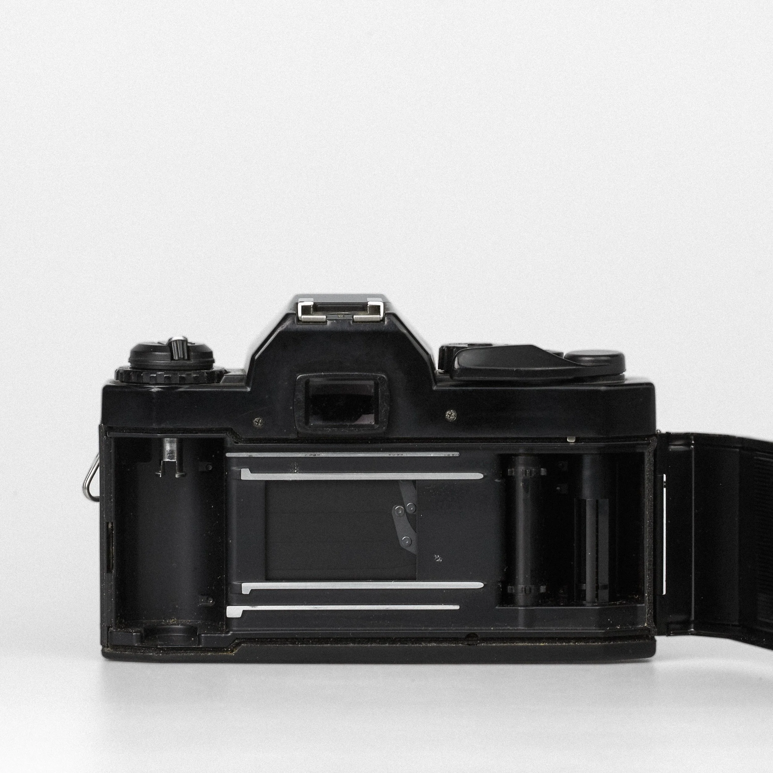 Carmencita cameras0151.jpg