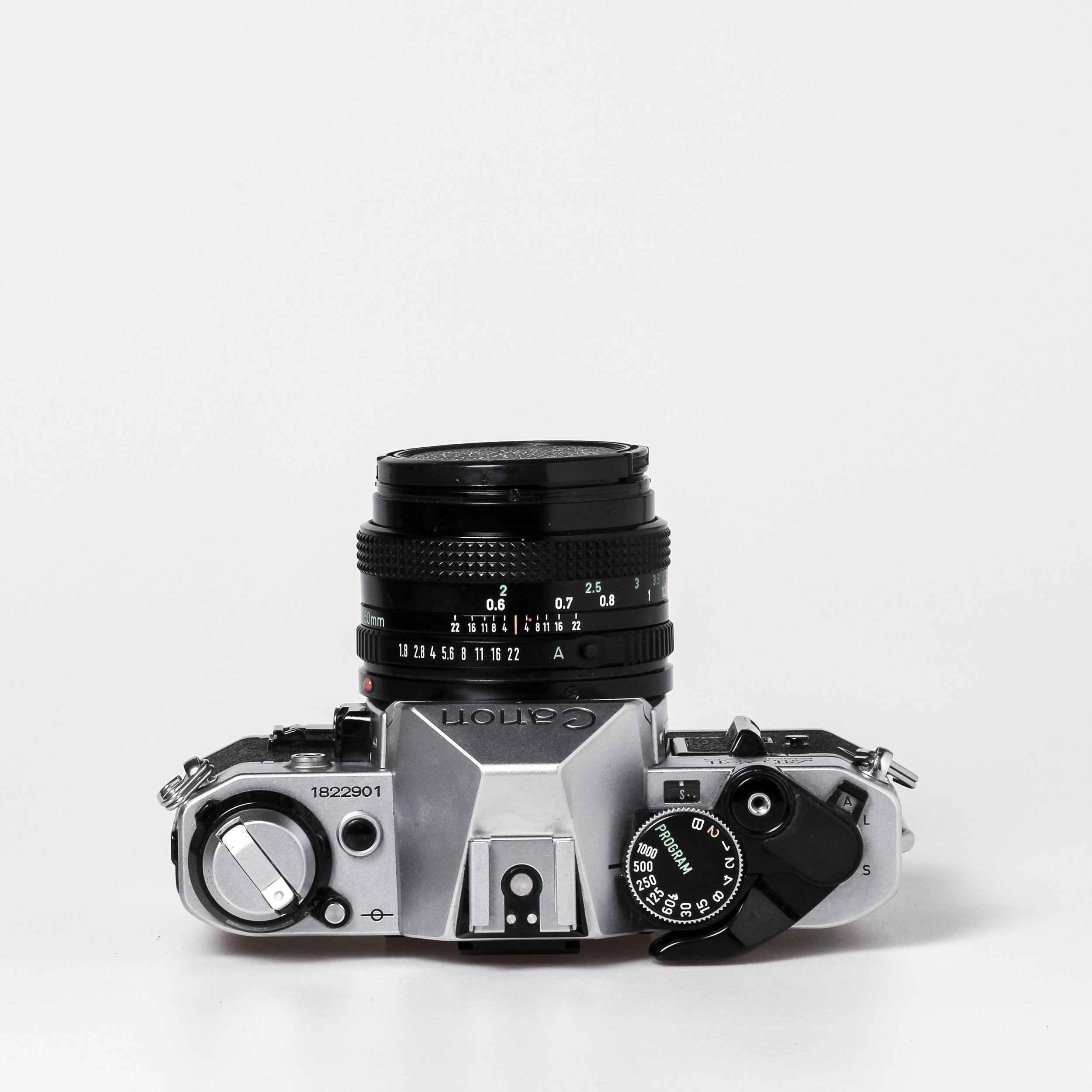 Carmencita cameras0568.jpg