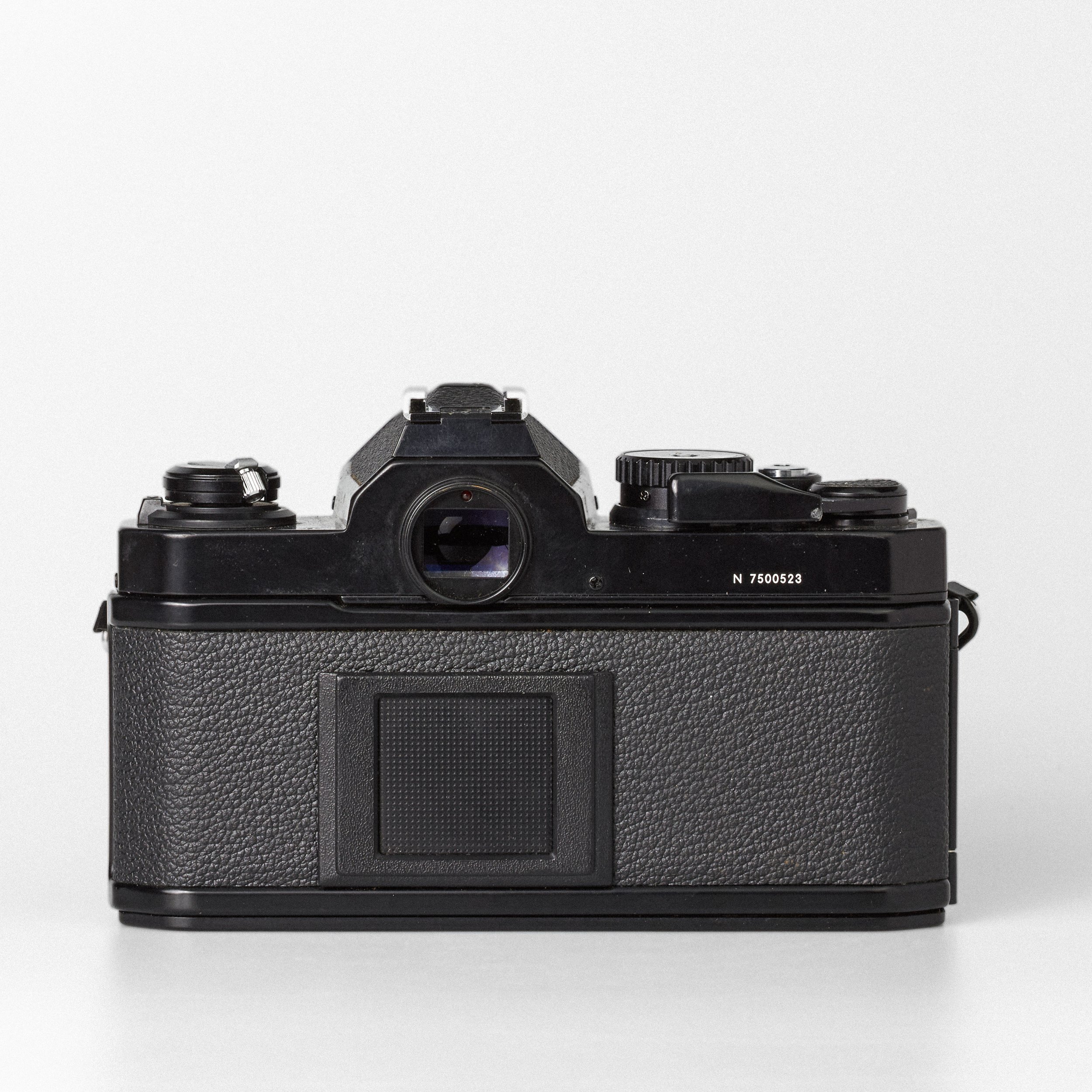 Carmencita cameras4683.jpg