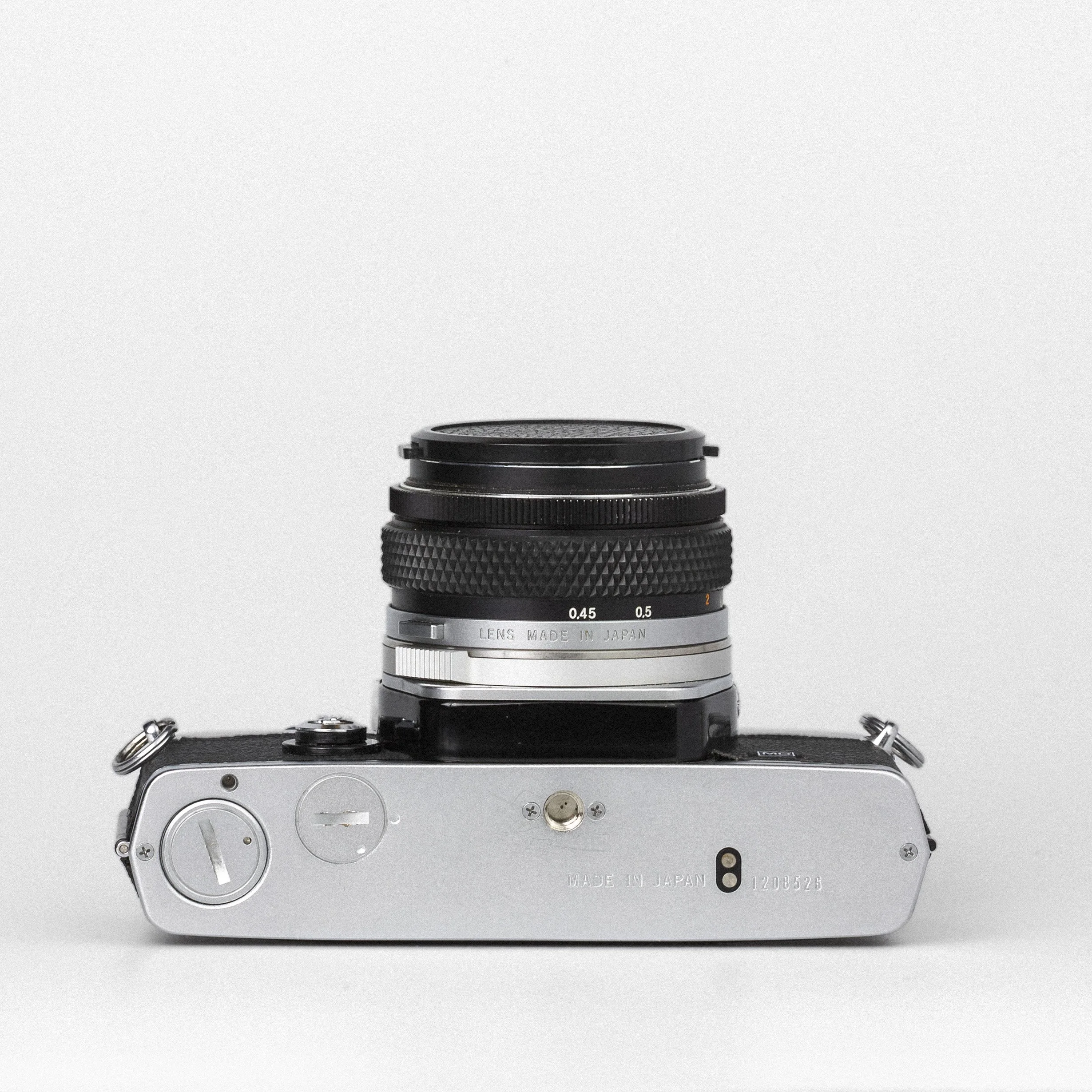 Carmencita cameras0848.jpg