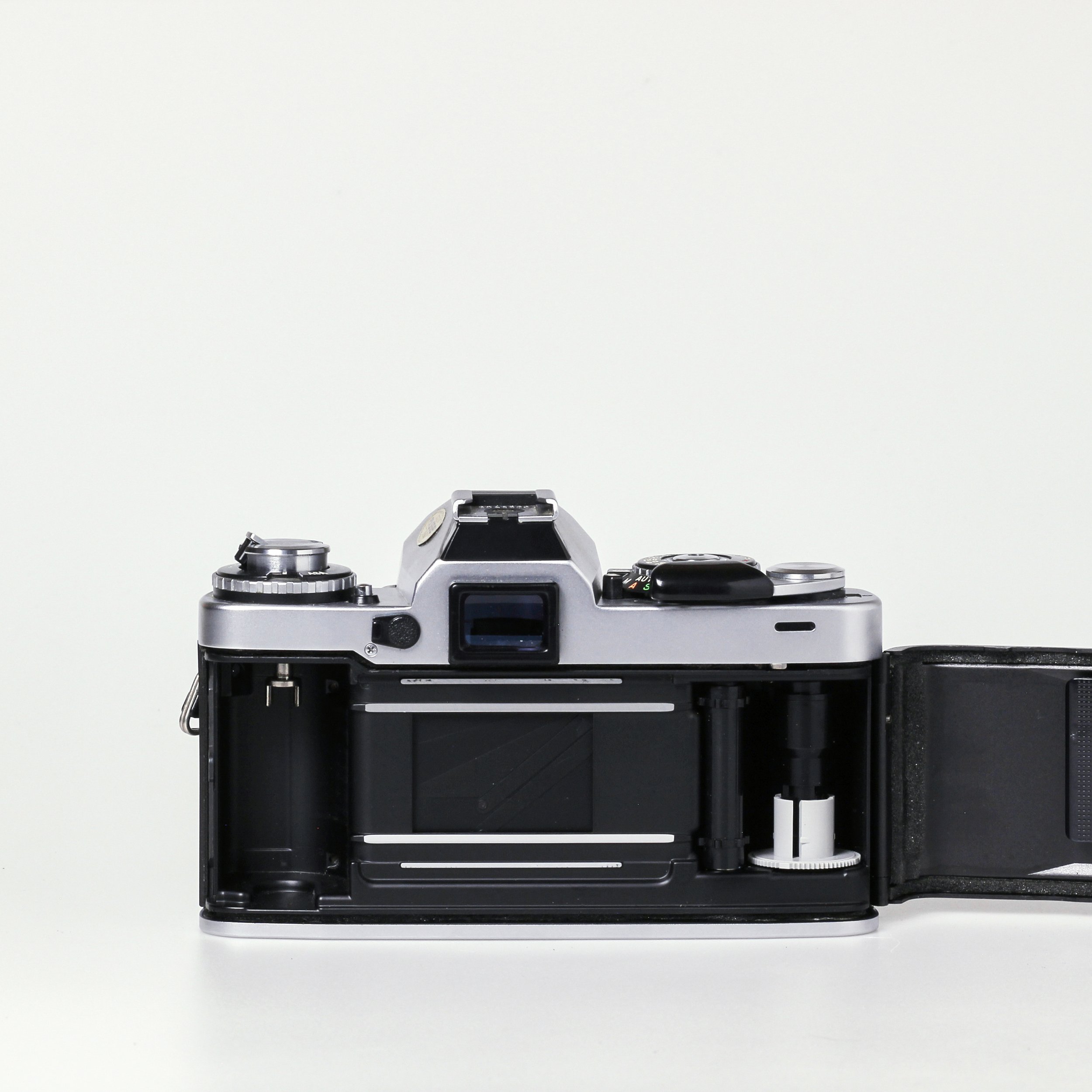 Carmencita cameras0365.jpg