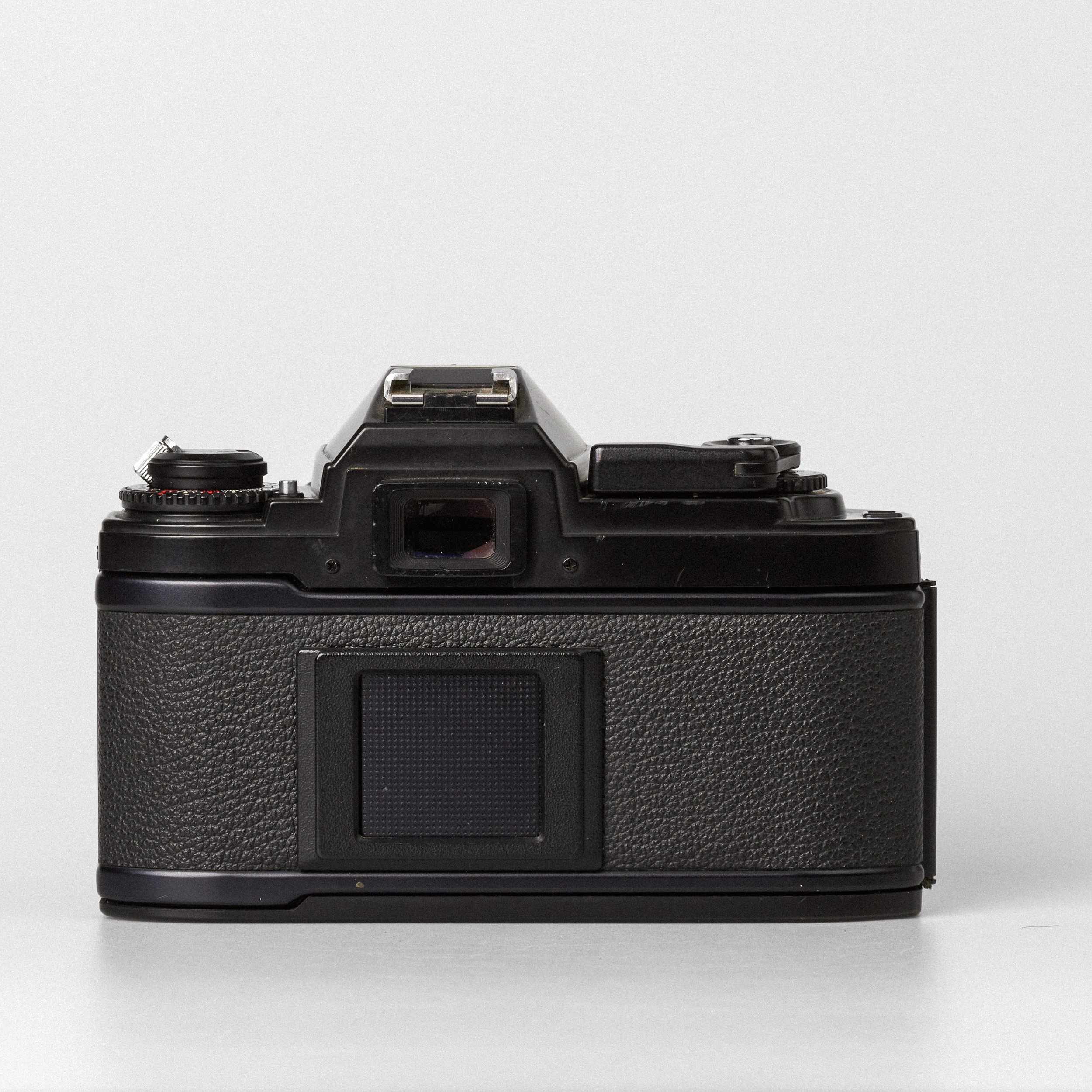 Carmencita cameras3483.jpg