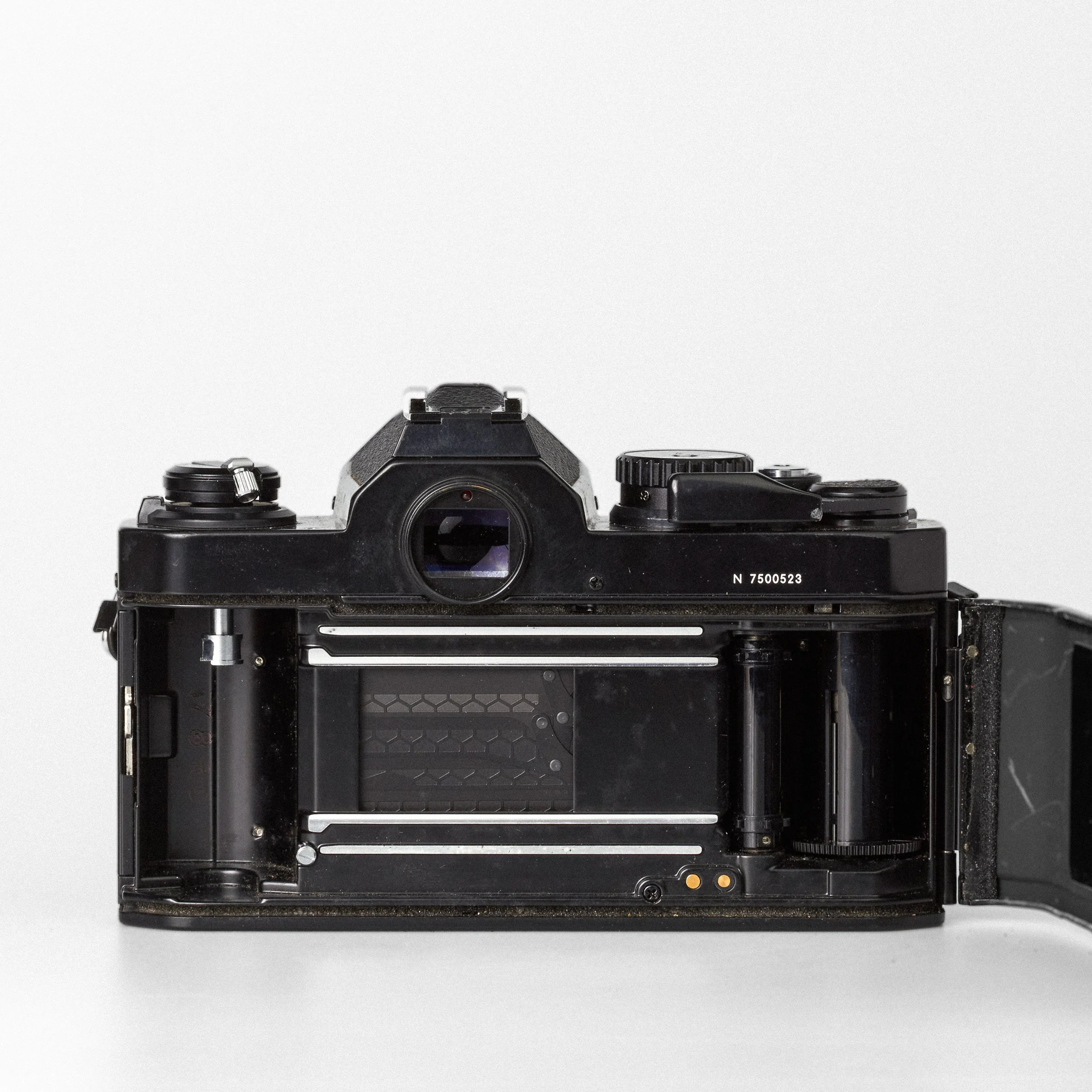 Carmencita cameras4684.jpg