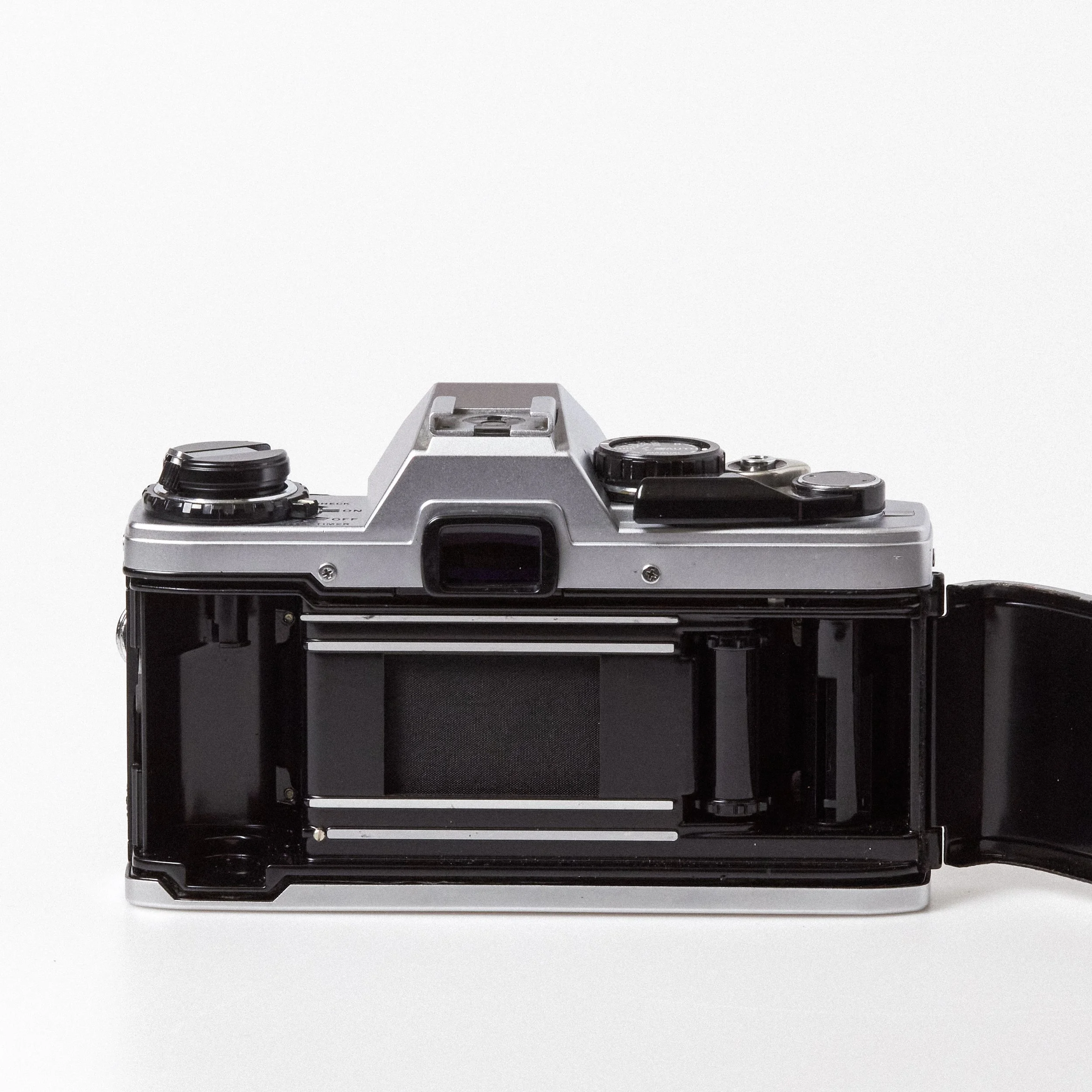 Carmencita cameras0845.jpg