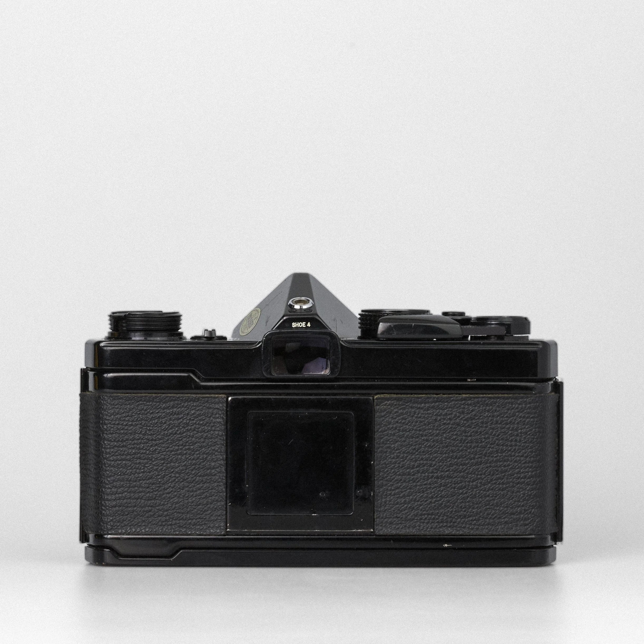 Carmencita cameras1143.jpg