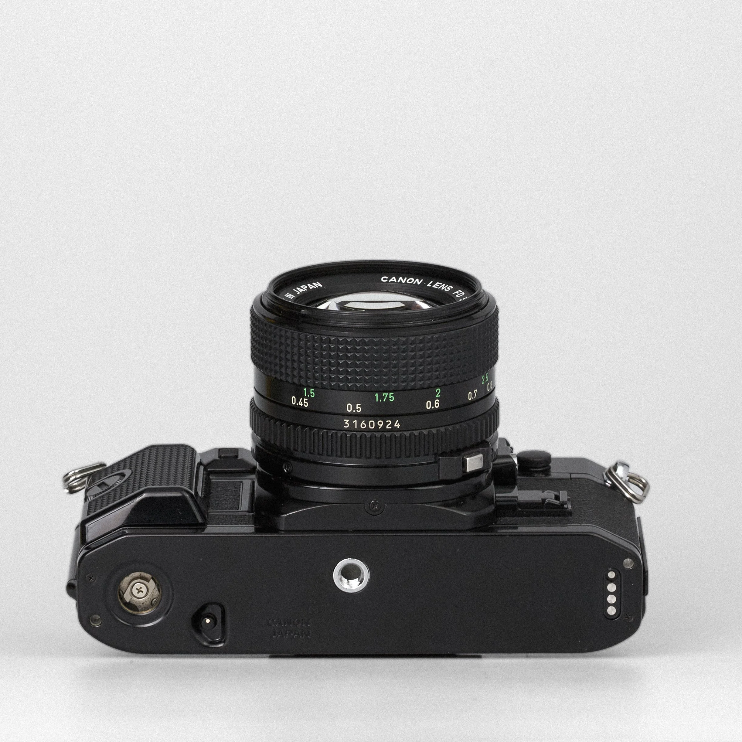 Carmencita cameras1223.jpg