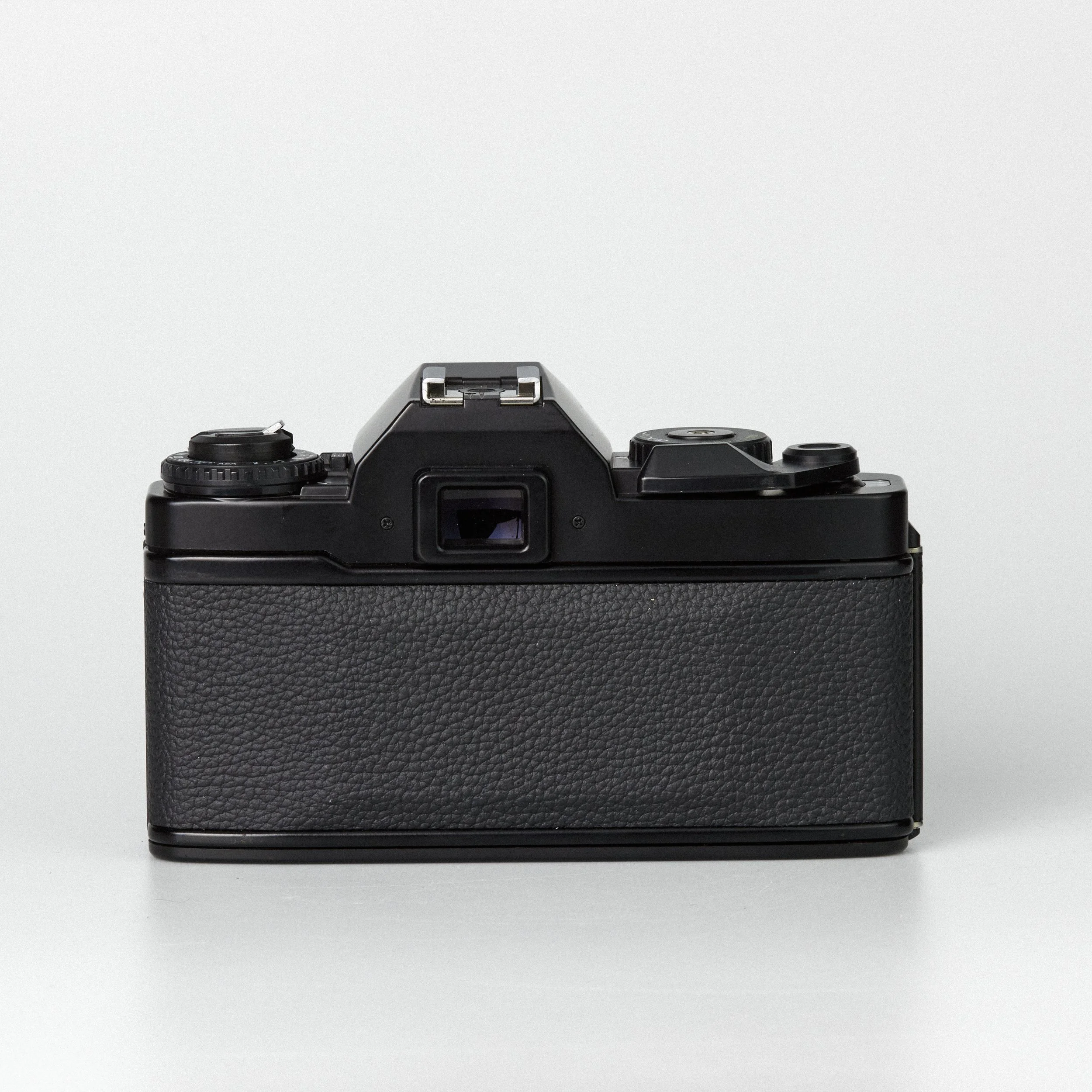 Carmencita cameras1707.jpg