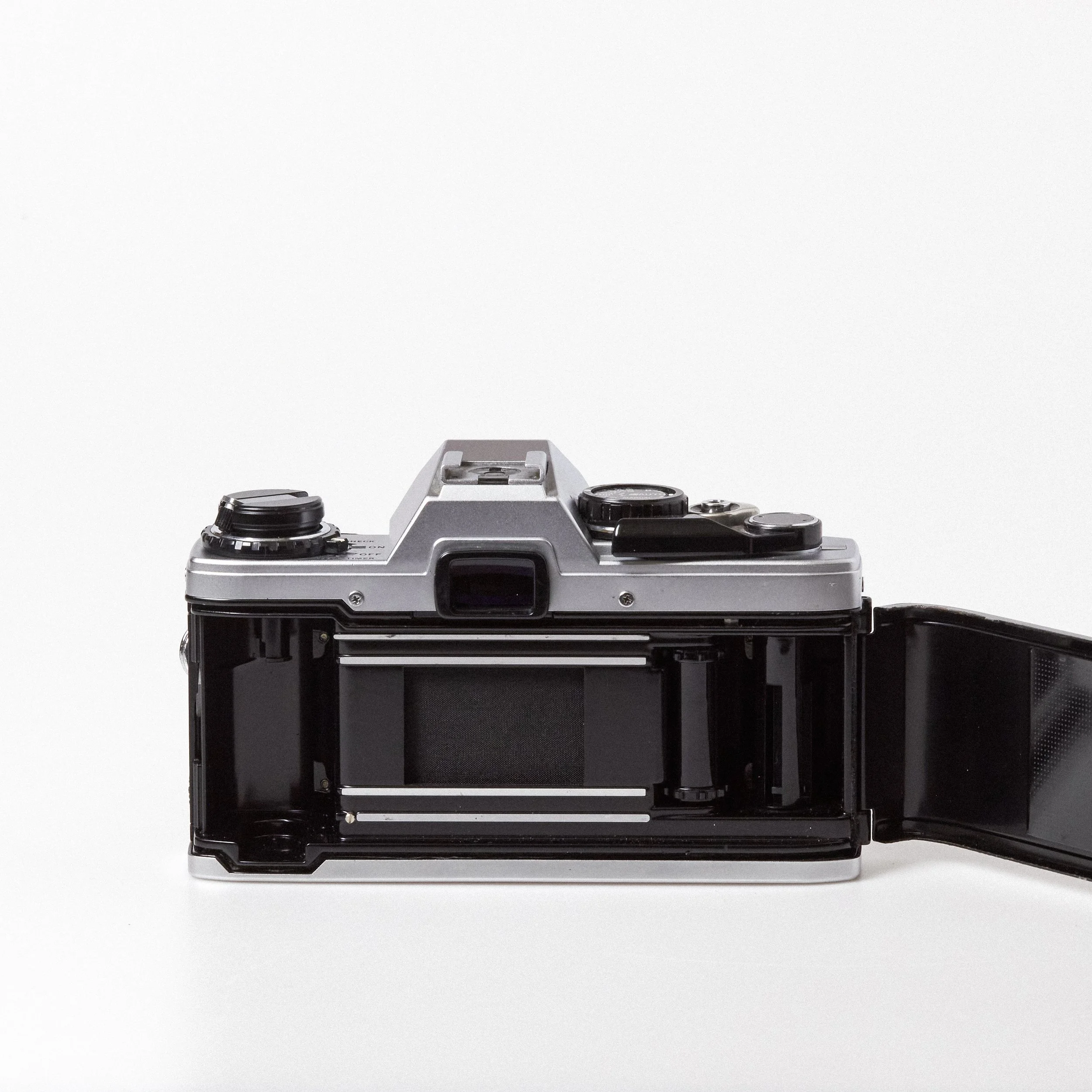 Carmencita cameras0845.jpg