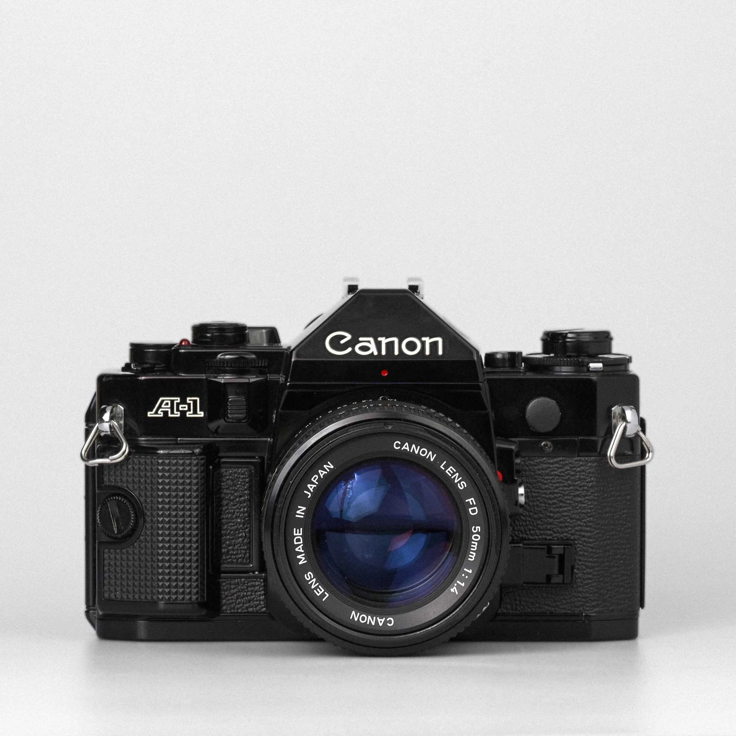 Carmencita cameras1211.jpg