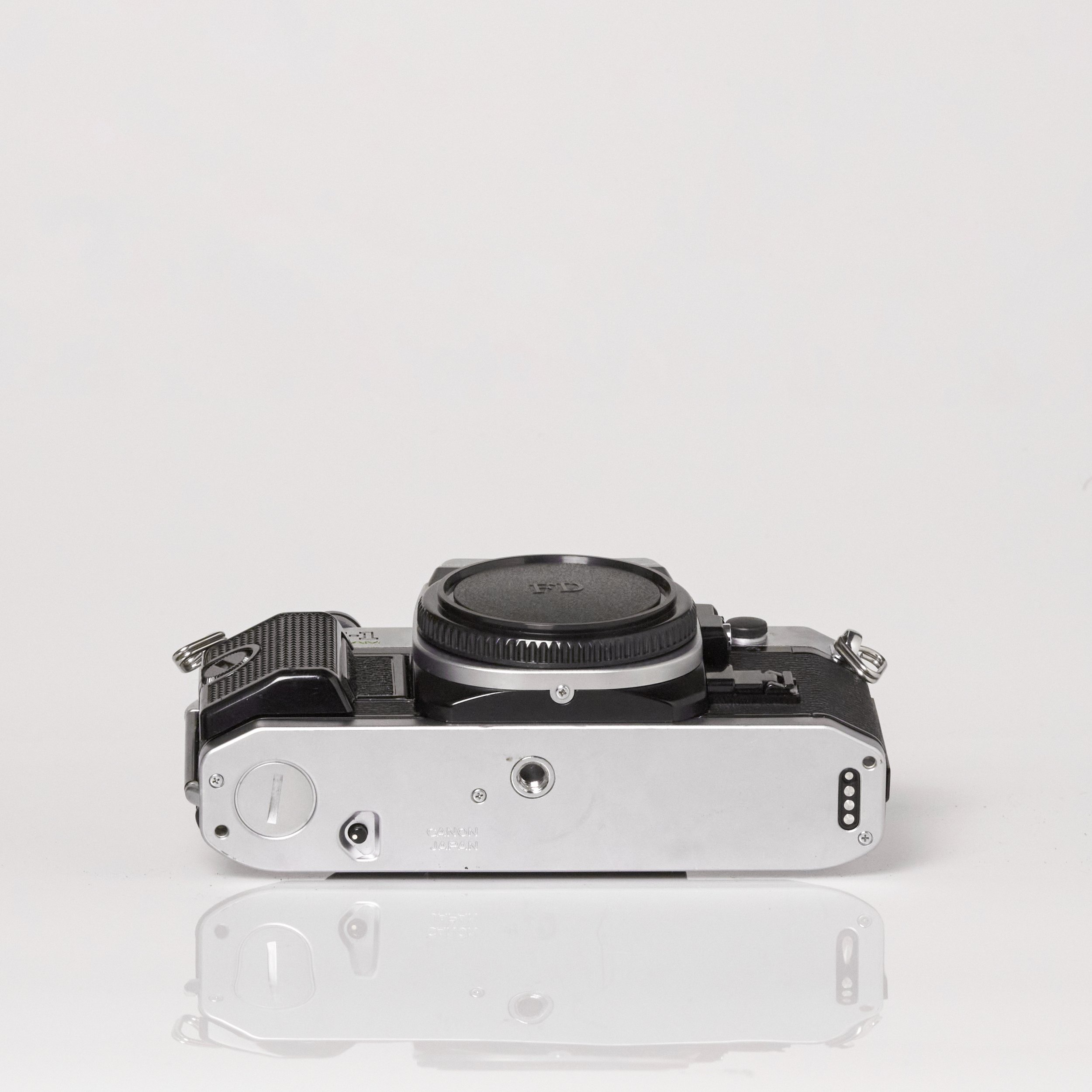Carmencita cameras0141 2.jpg