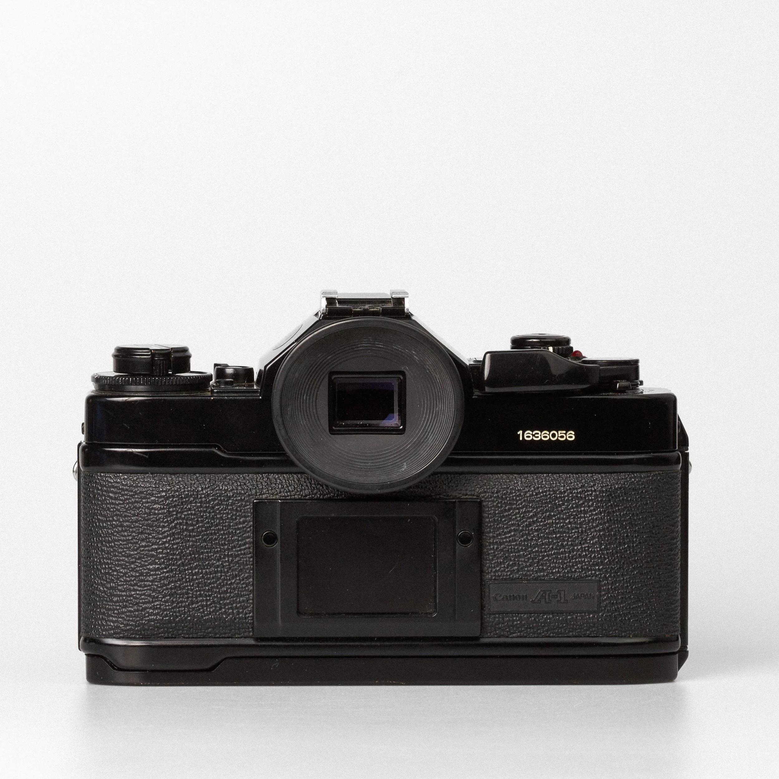 Carmencita cameras3199.jpg