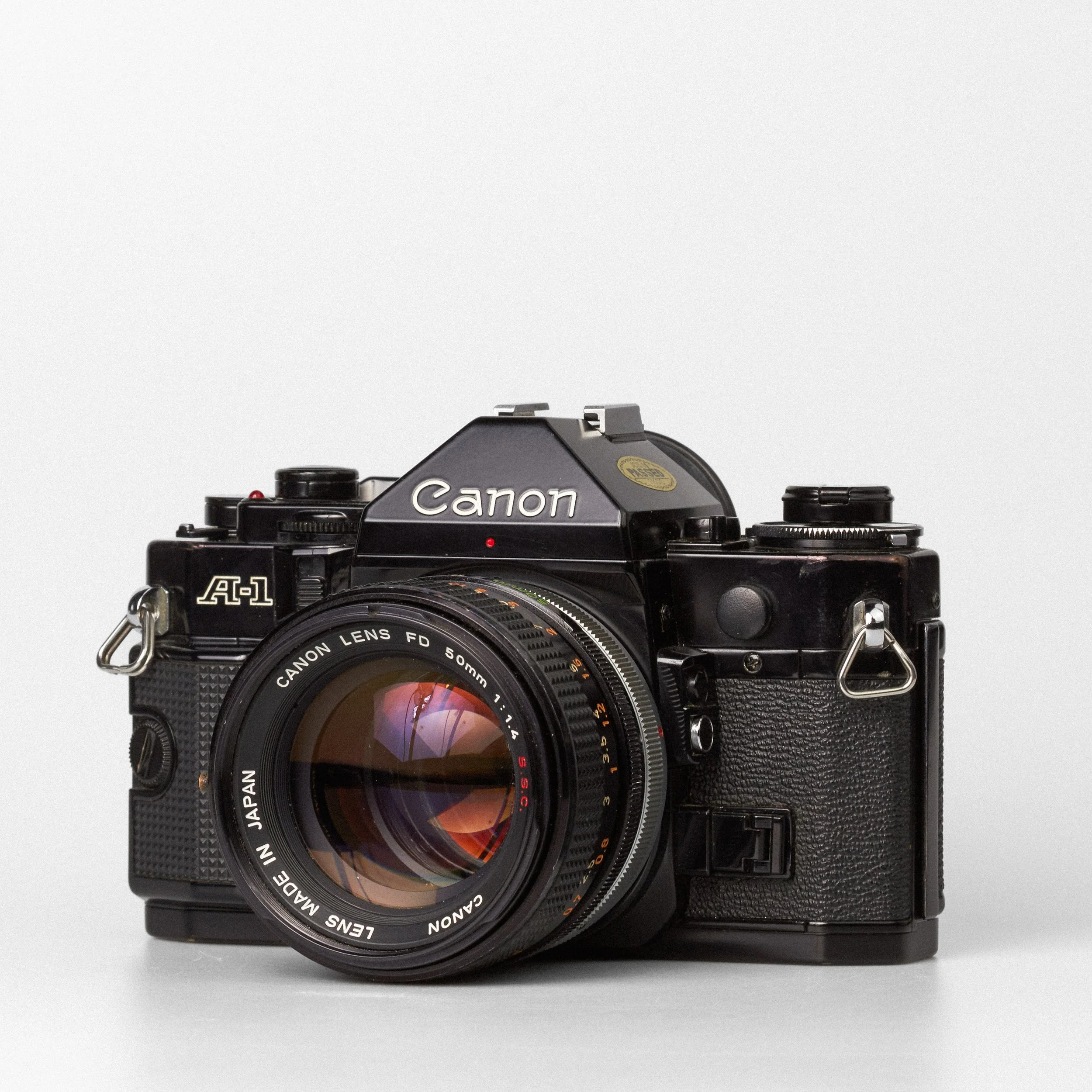 Carmencita cameras3197.jpg