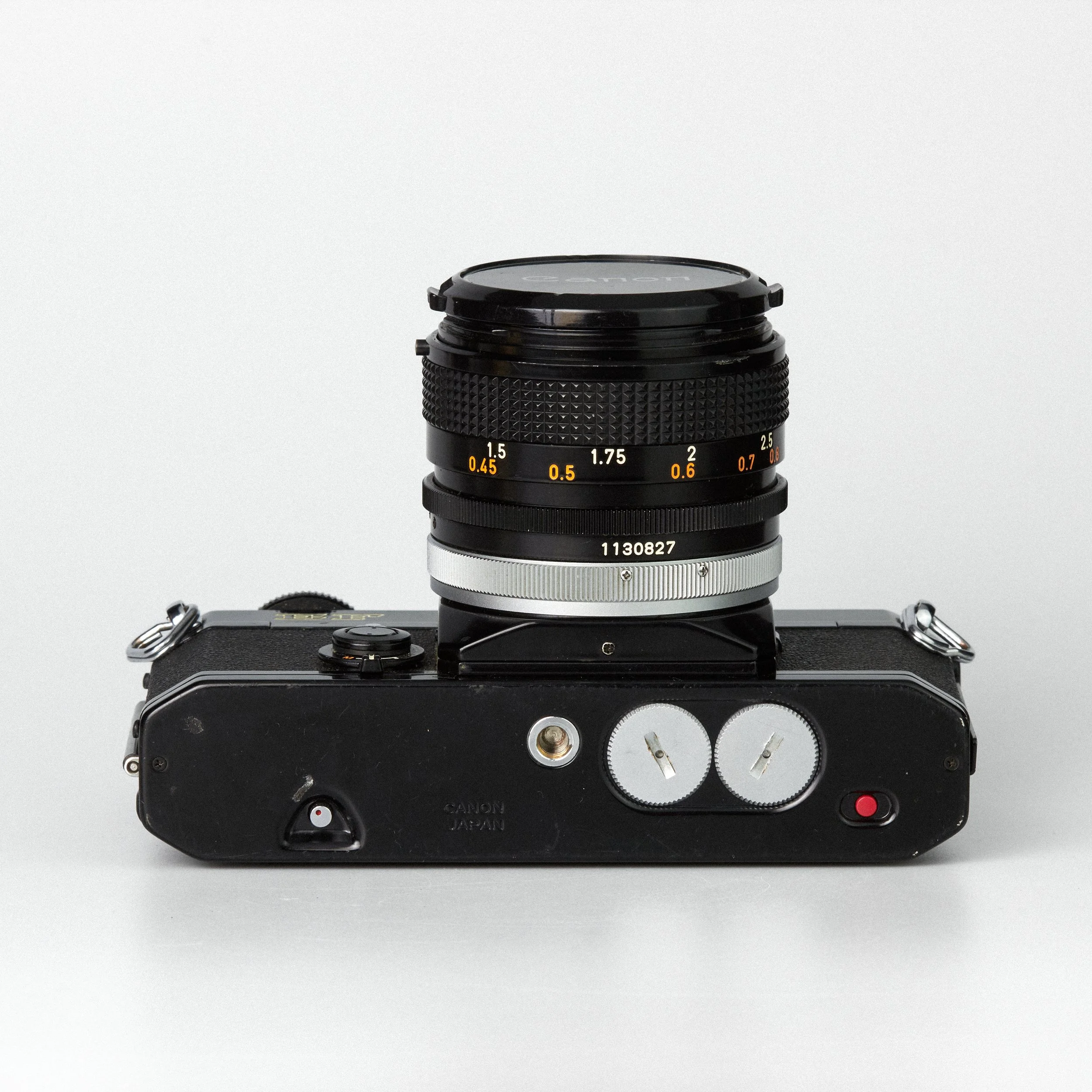 Carmencita cameras1740.jpg