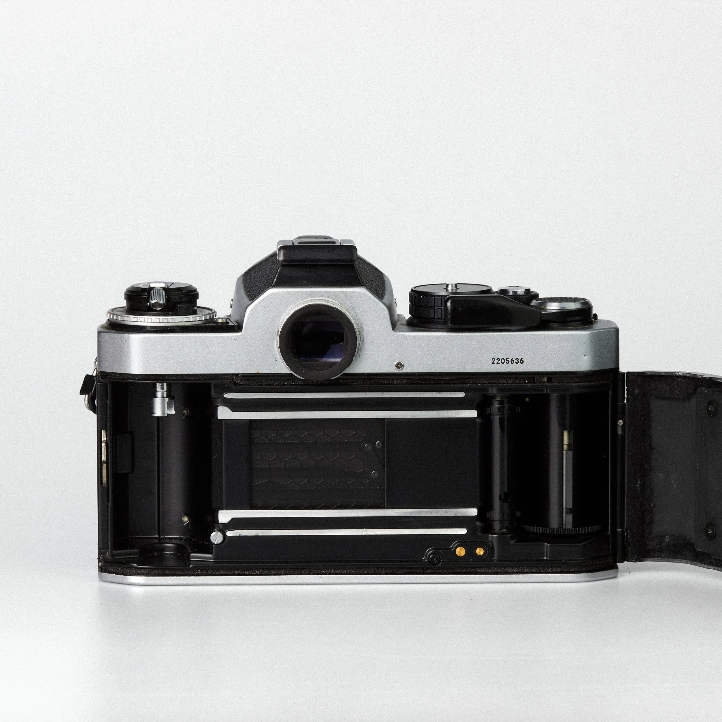 Carmencita cameras1493.jpg