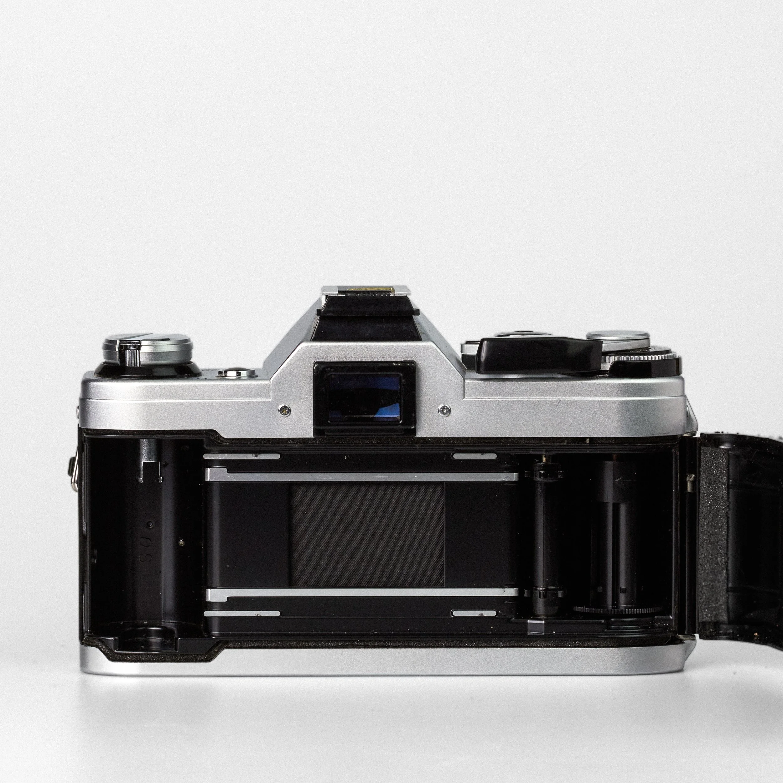 Carmencita cameras3719.jpg