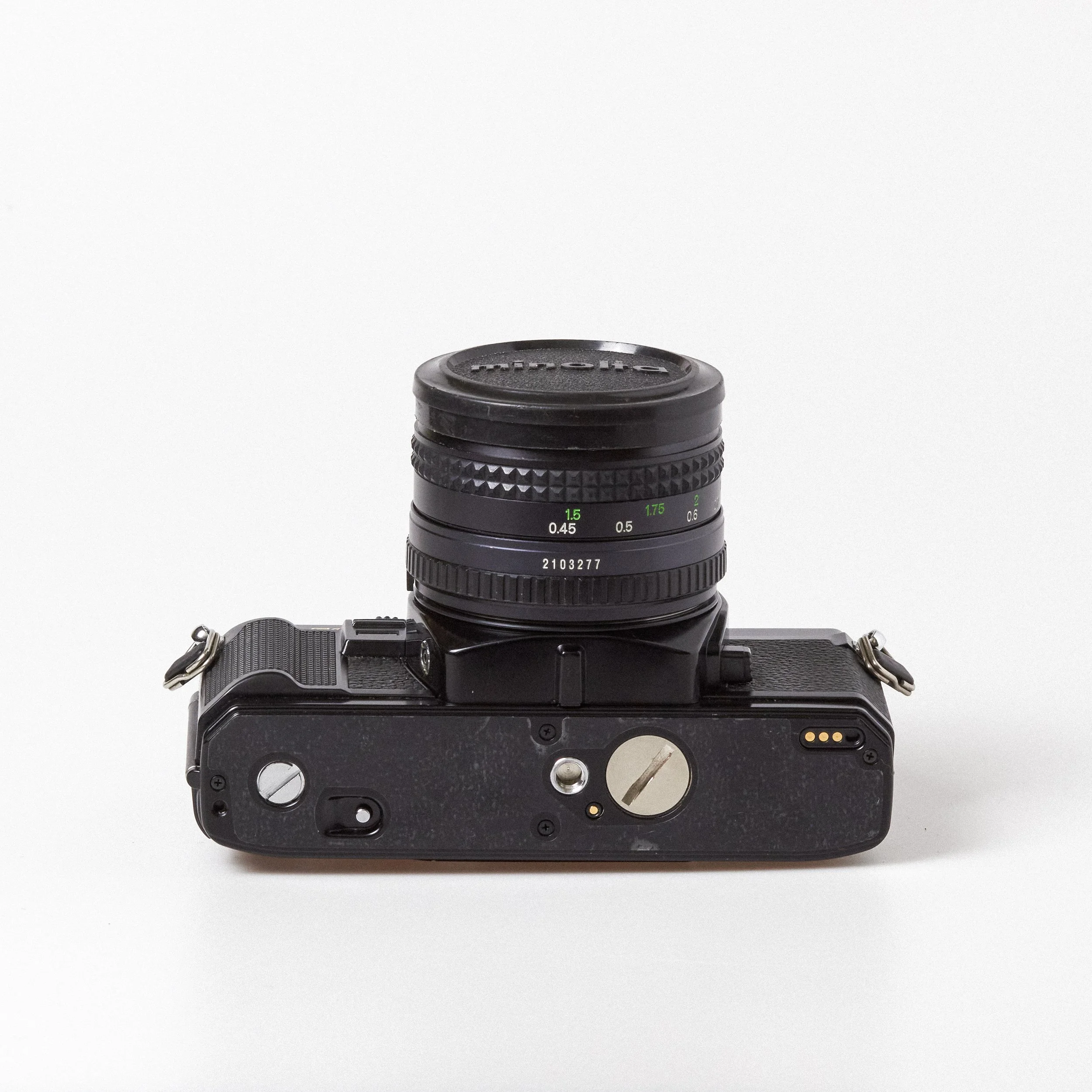 Carmencita cameras0869.jpg