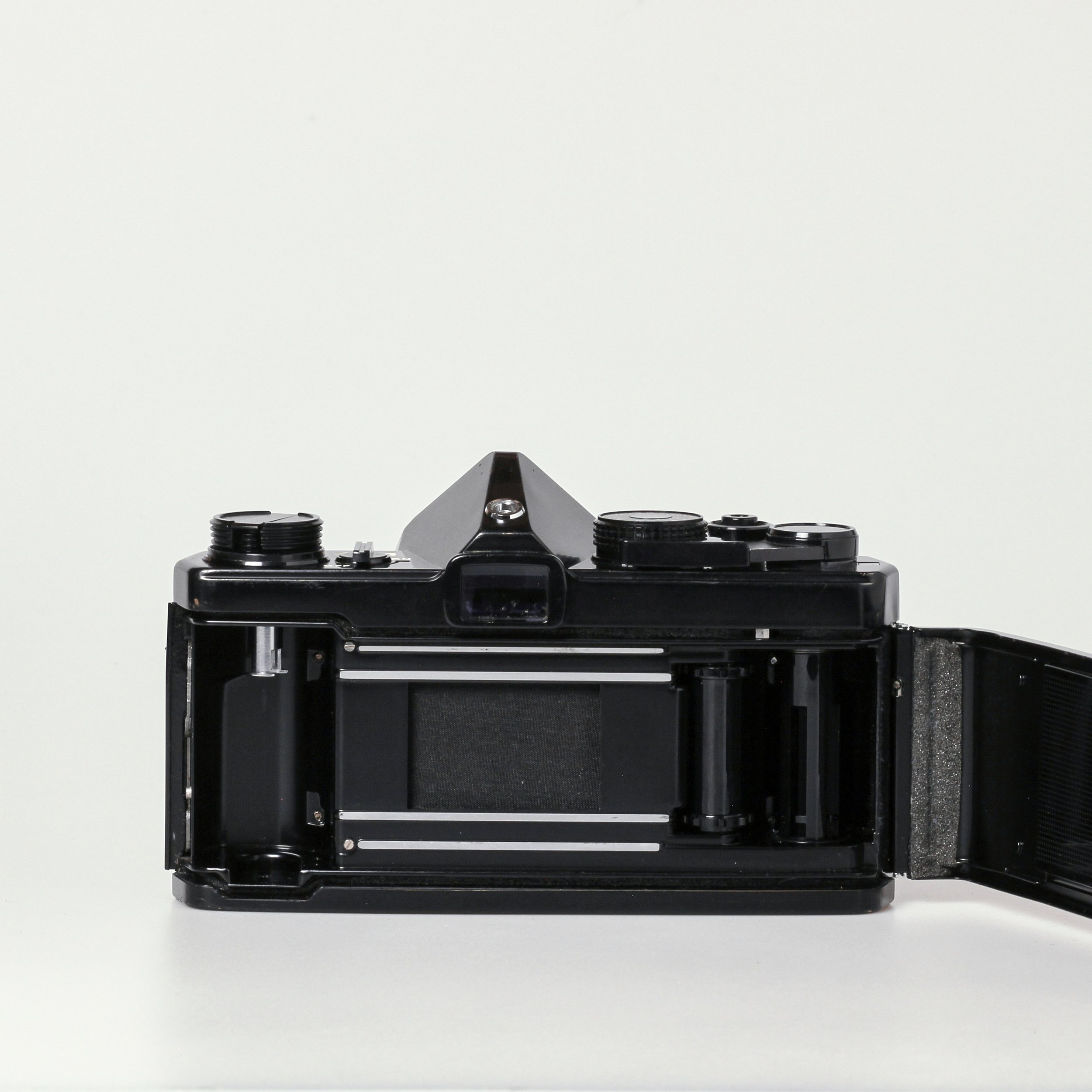 Carmencita cameras0342.jpg