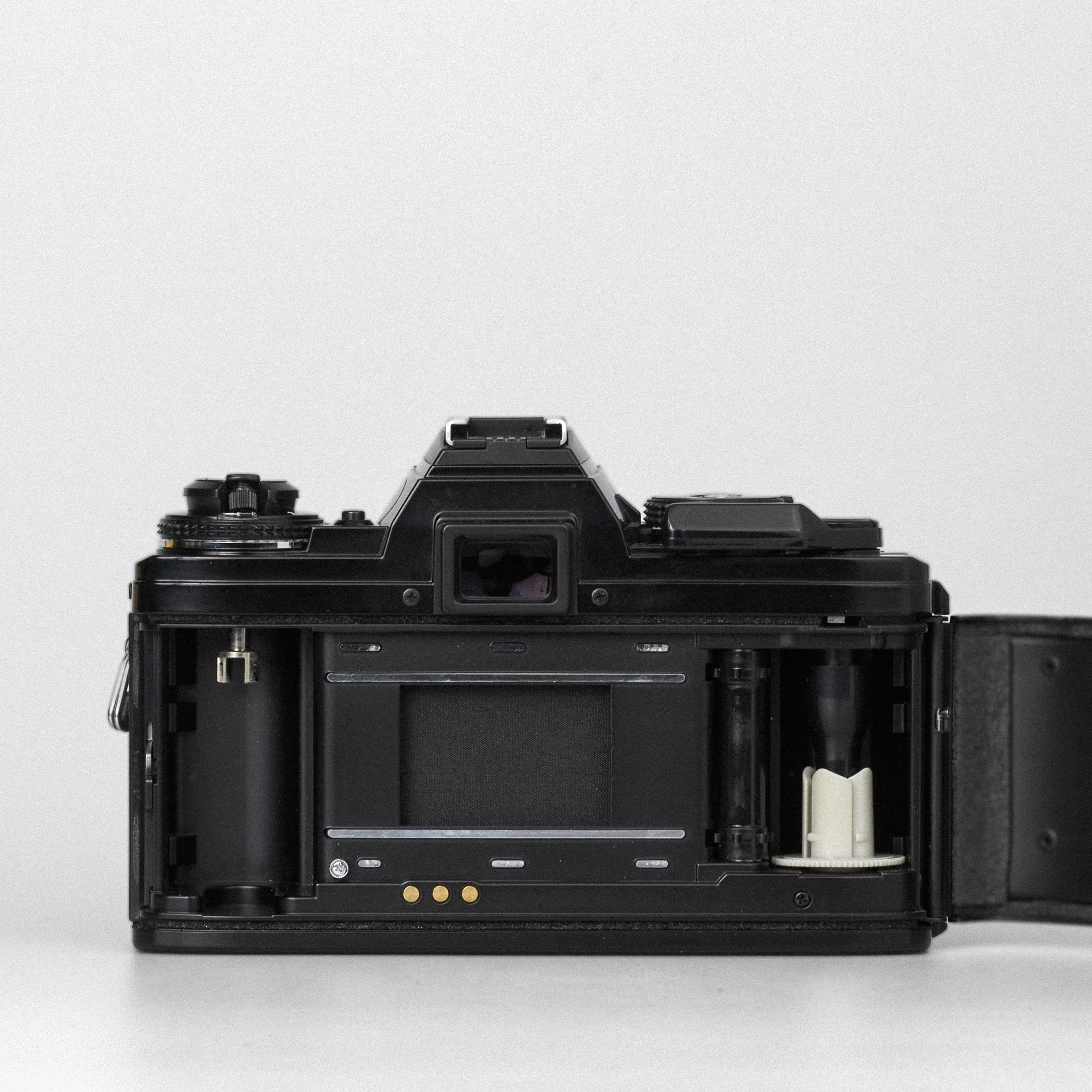 Carmencita cameras1094.jpg