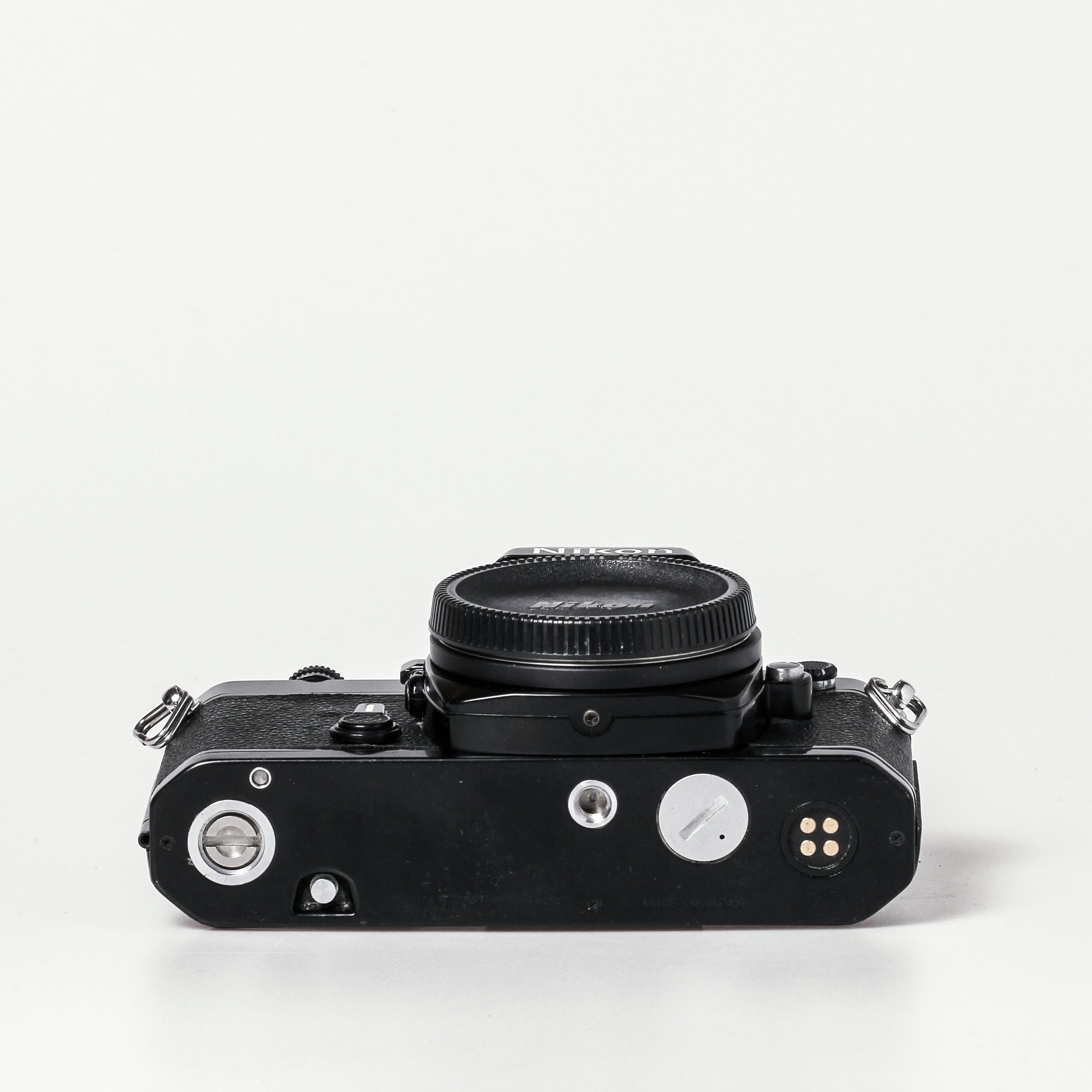Carmencita cameras0129 1.jpg