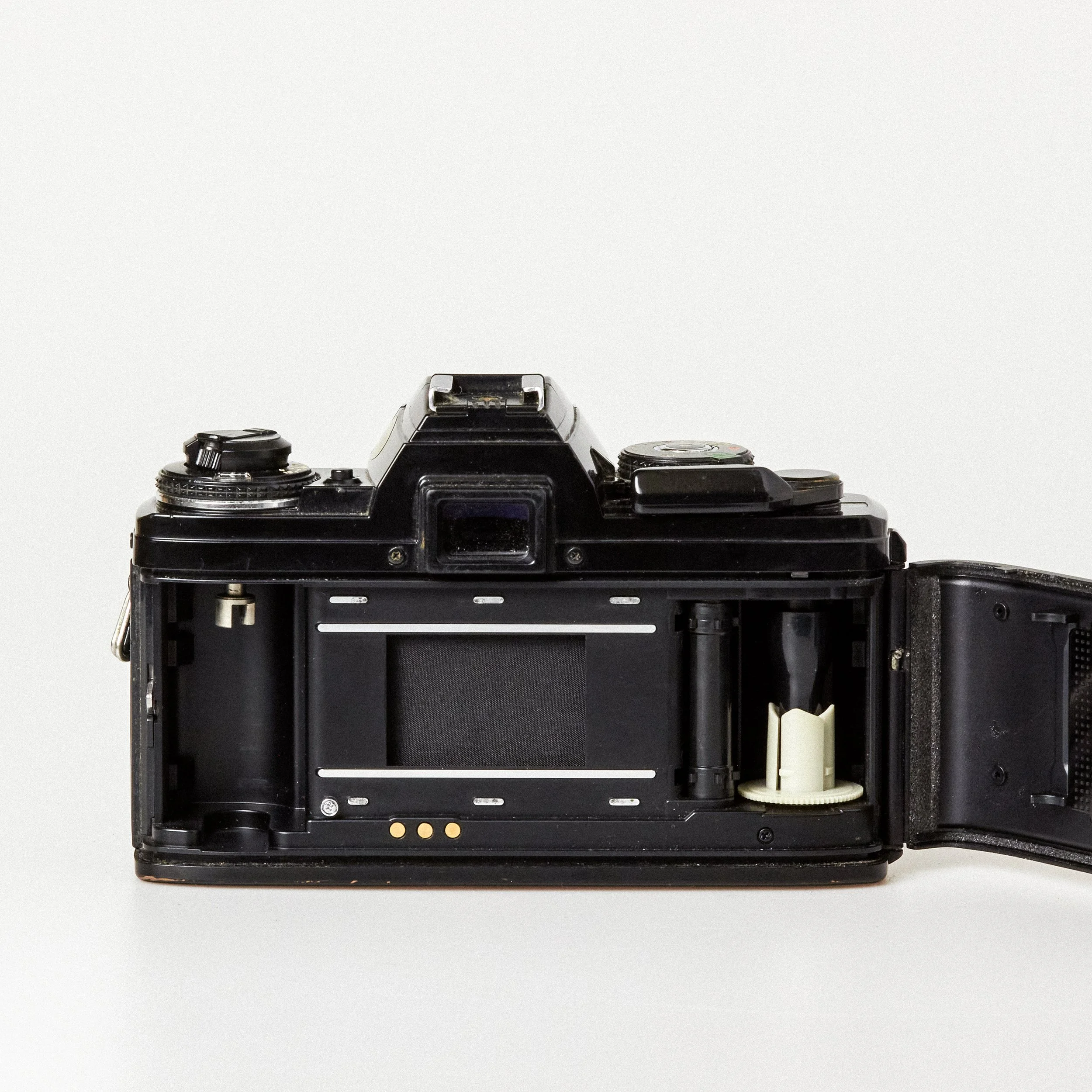 Carmencita cameras0608.jpg