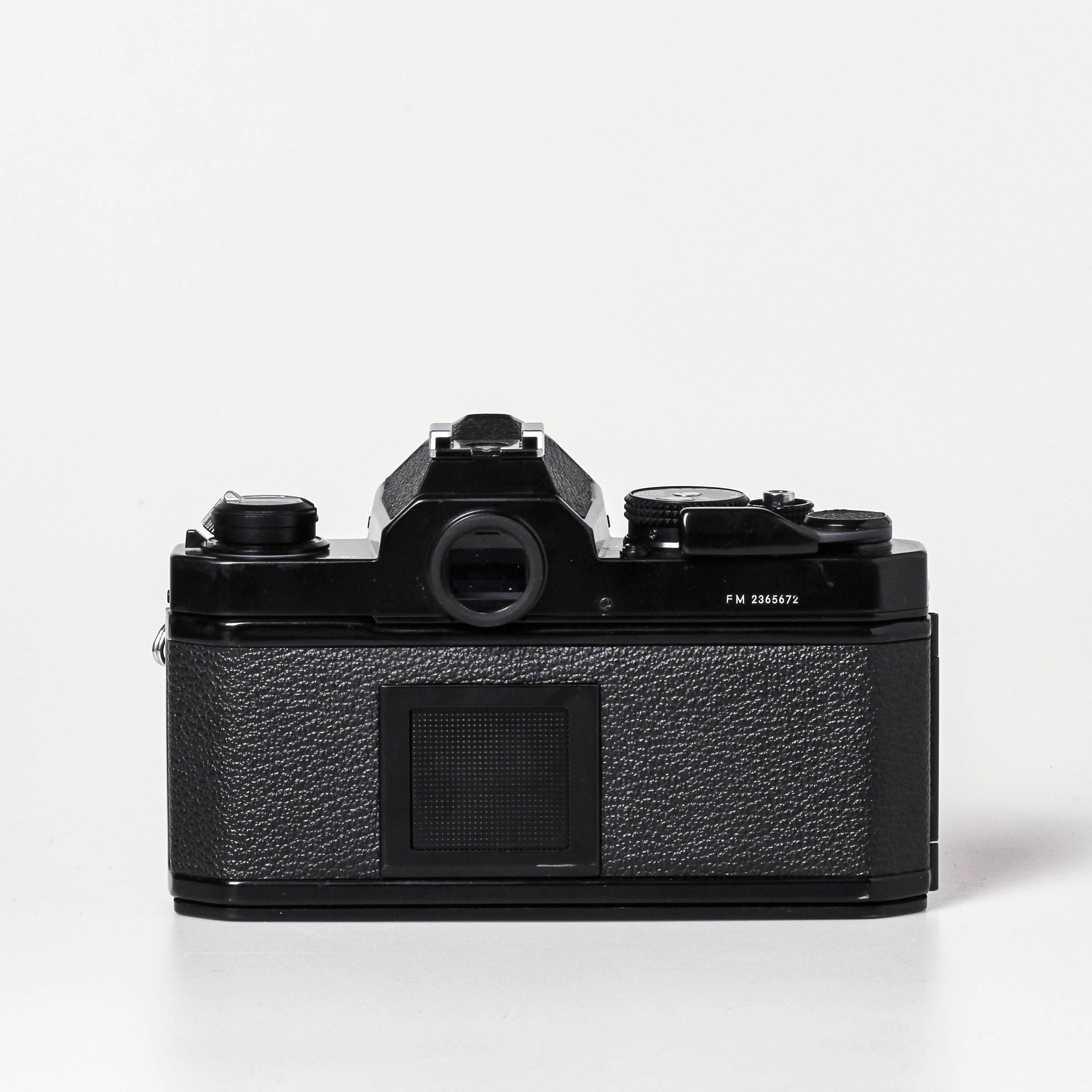 Carmencita cameras0126 1.jpg