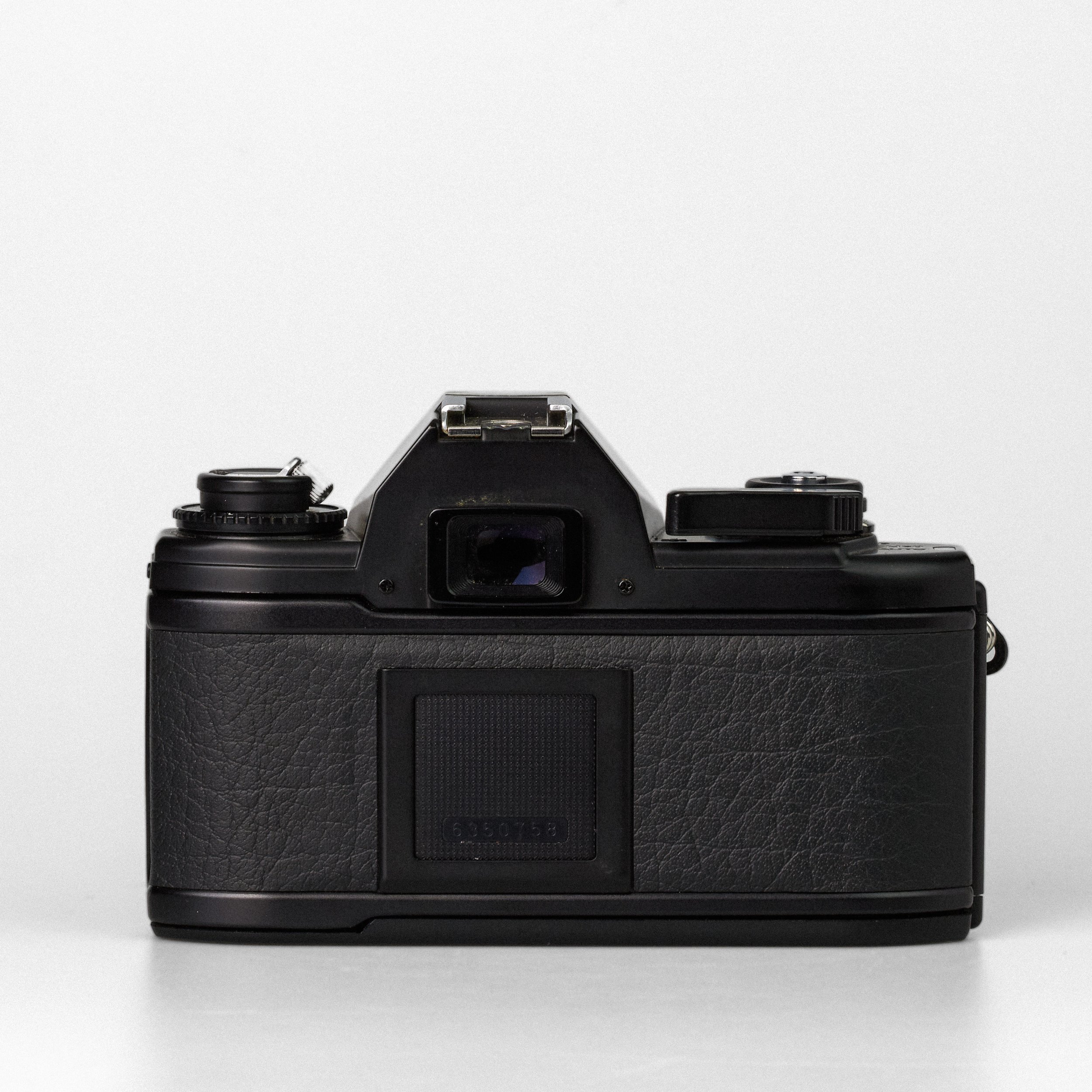 Carmencita cameras3584.jpg