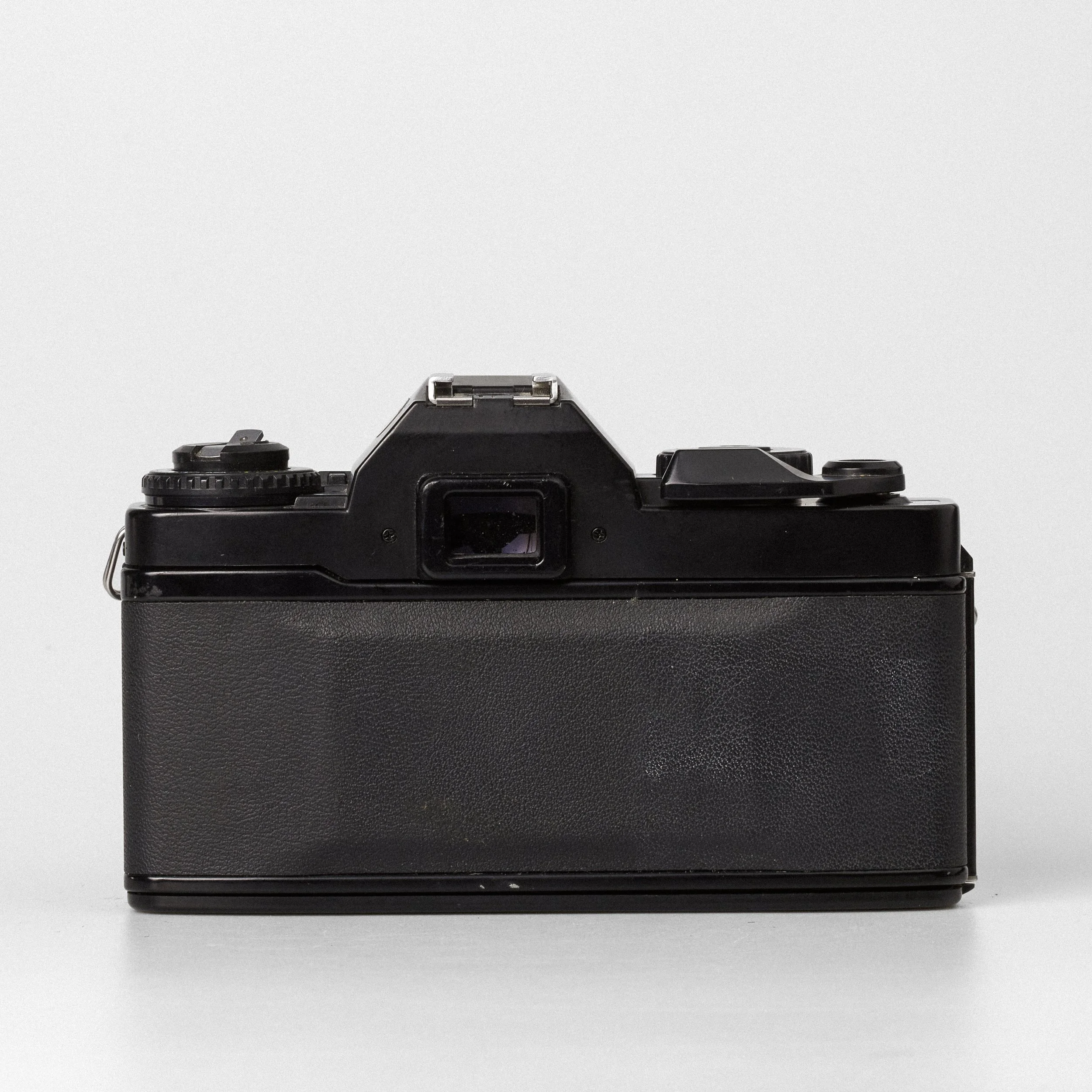 Carmencita cameras2836.jpg