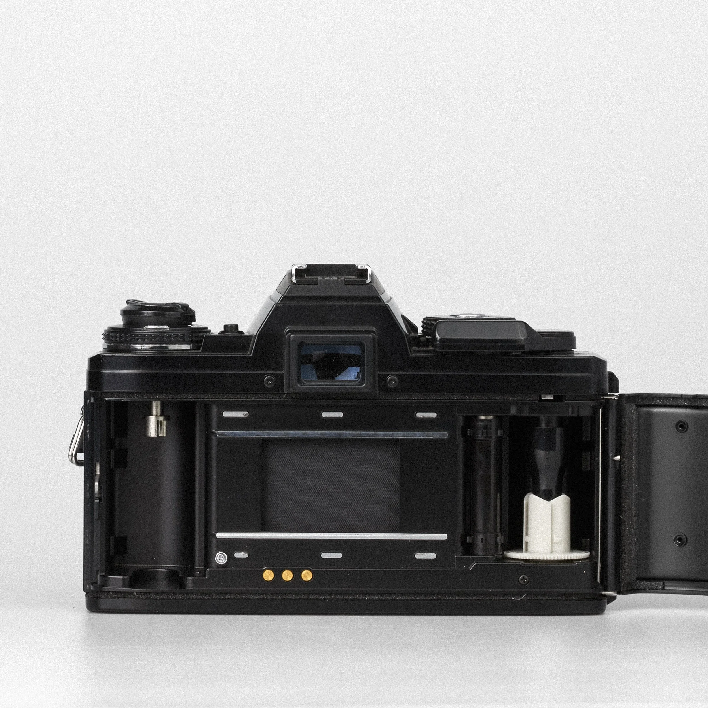 Carmencita cameras0830.jpg