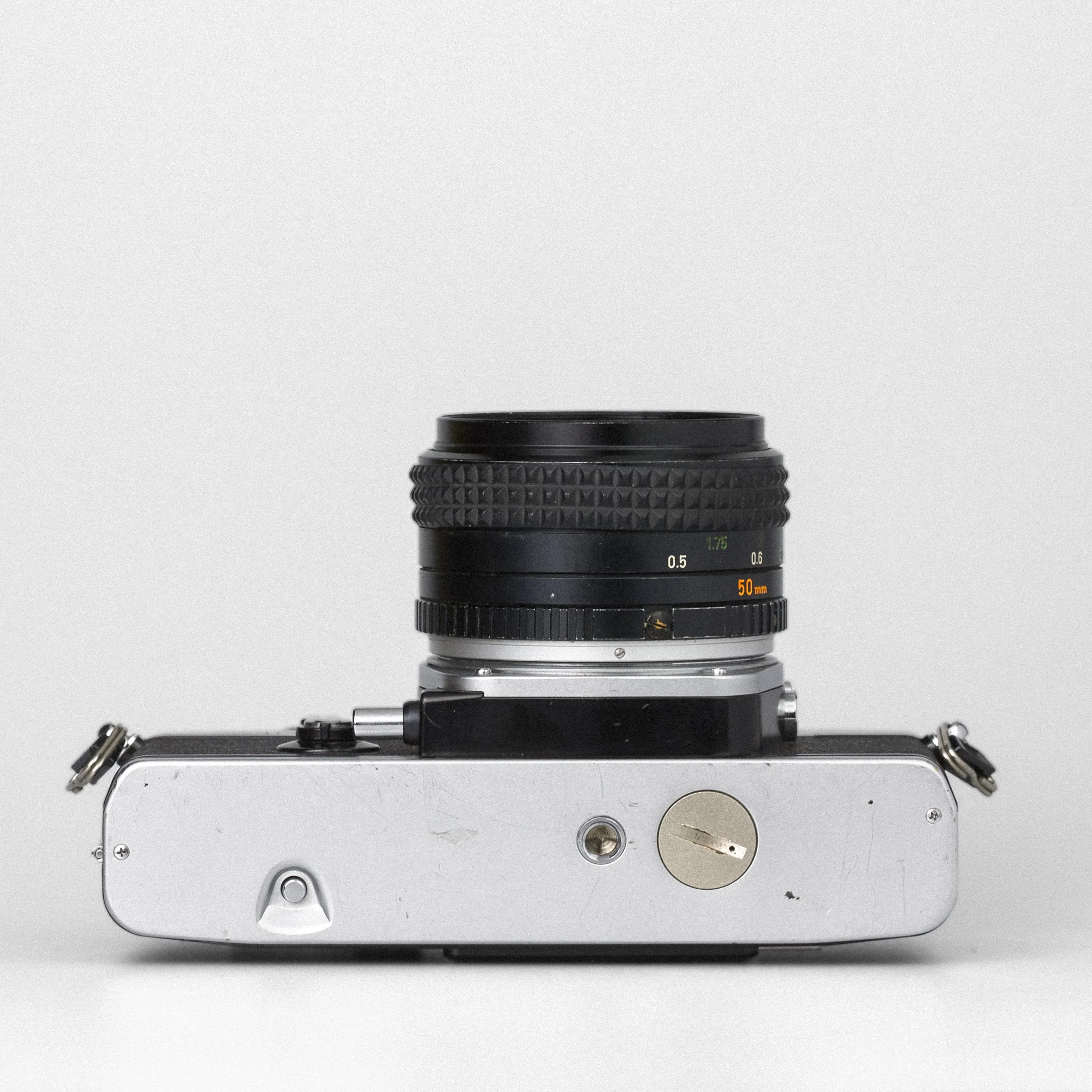 Carmencita cameras1206.jpg