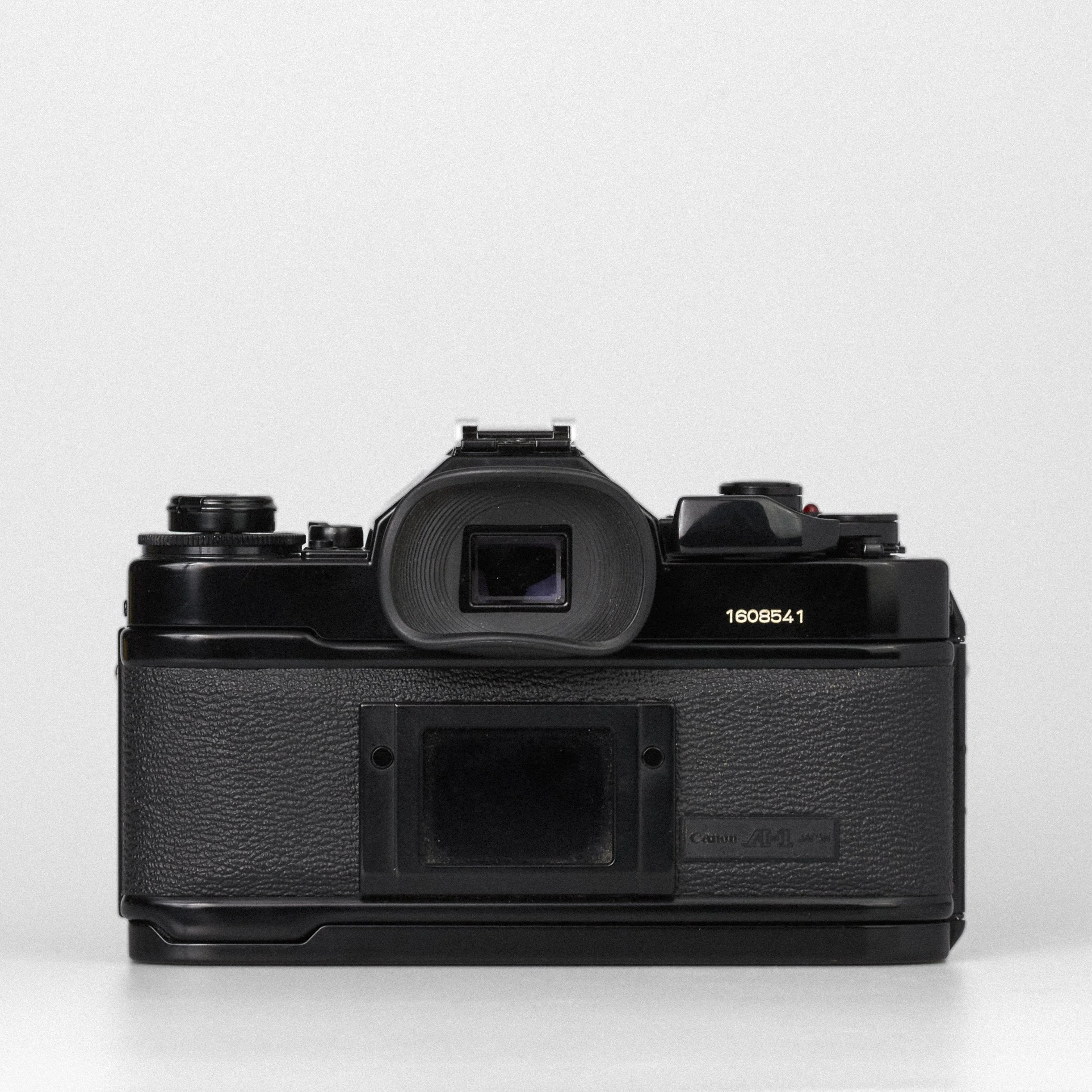 Carmencita cameras1217.jpg