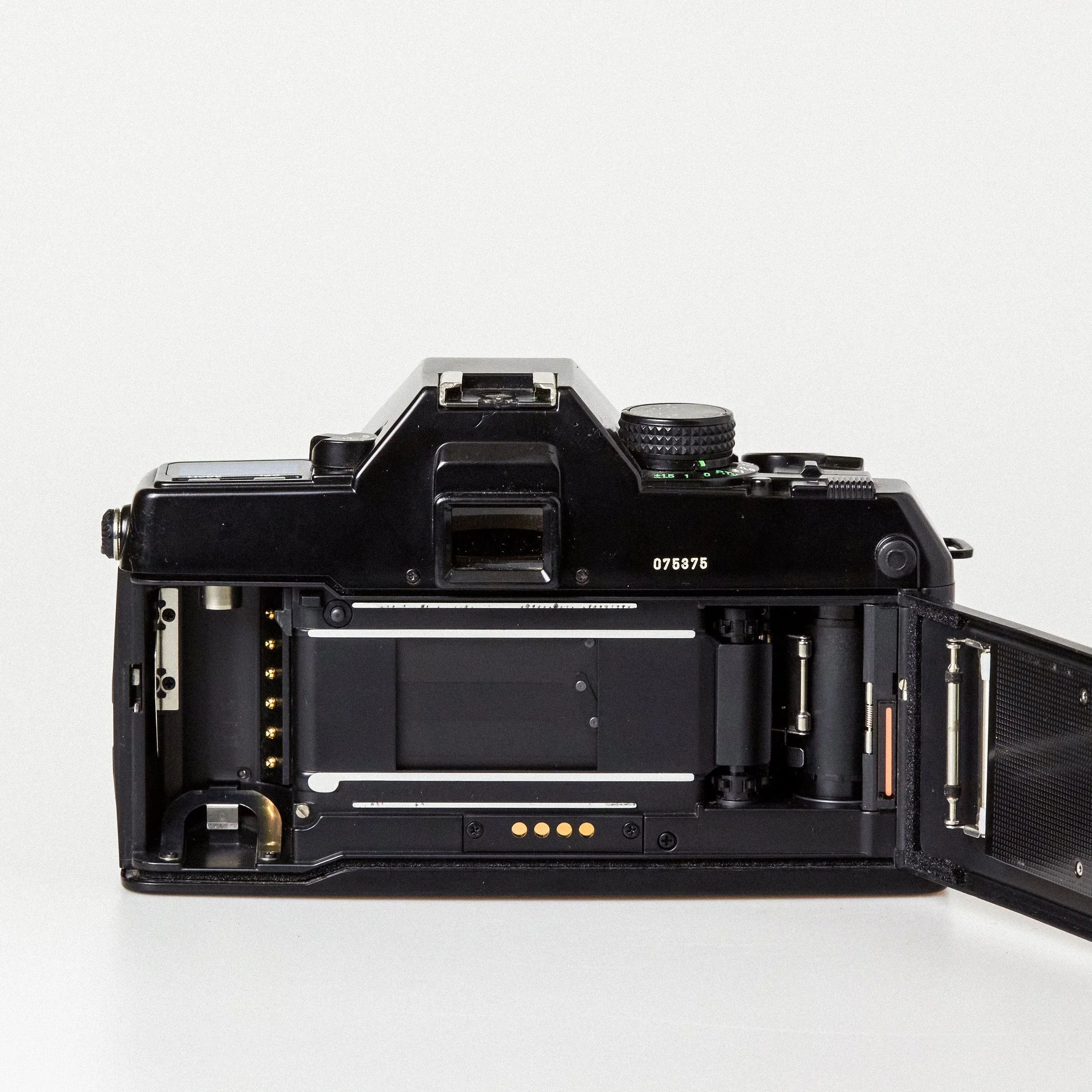 Carmencita cameras0615.jpg