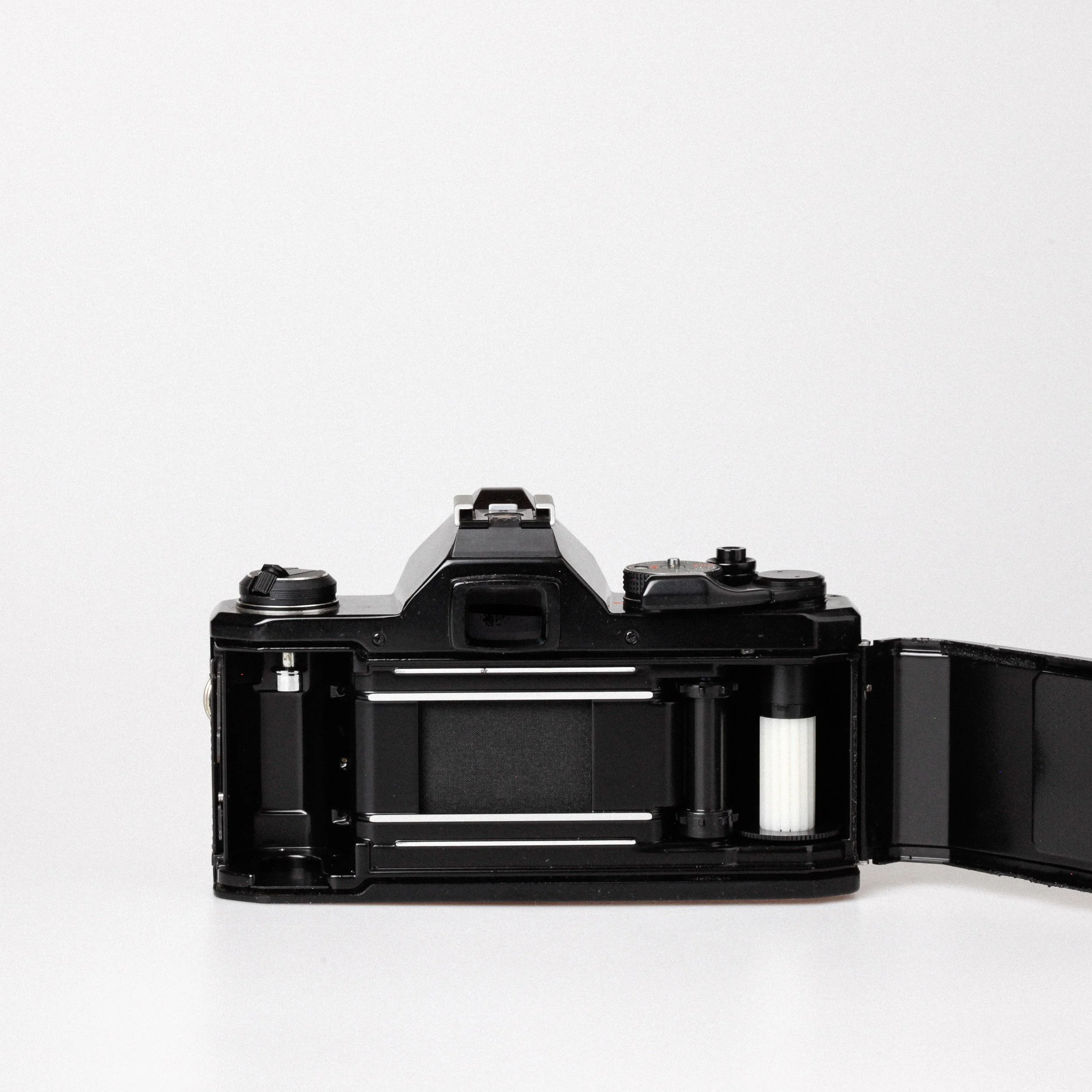 Carmencita cameras0022 1.jpg