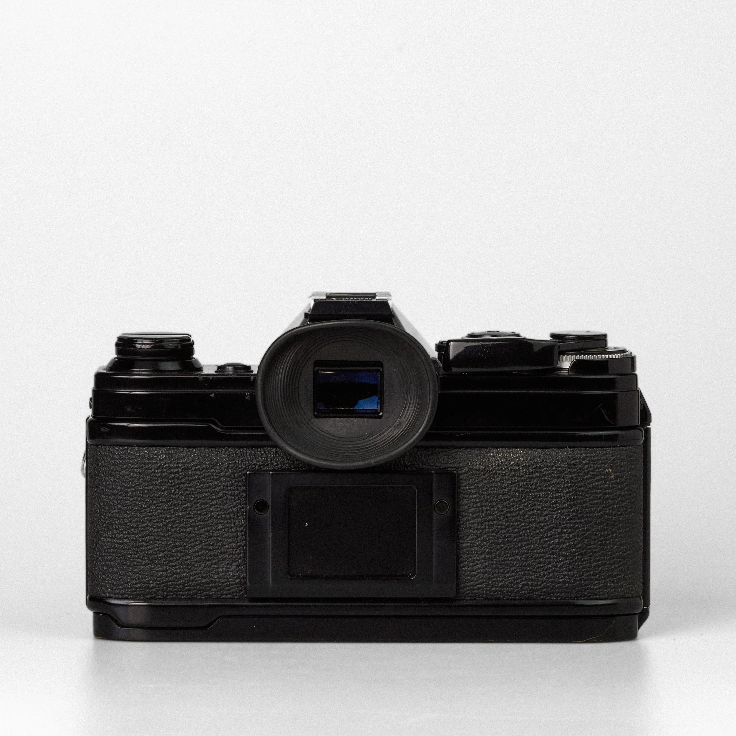 Carmencita cameras3624.jpg