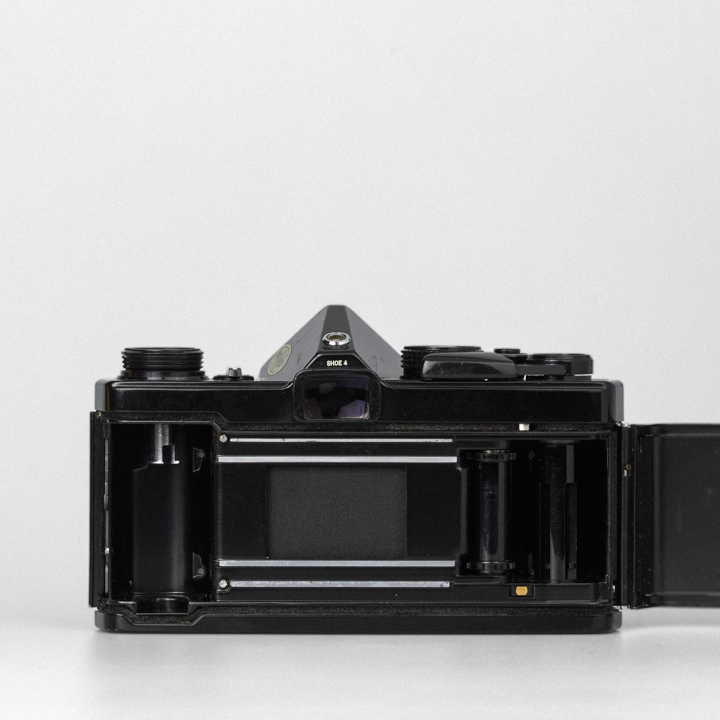 Carmencita cameras1144.jpg