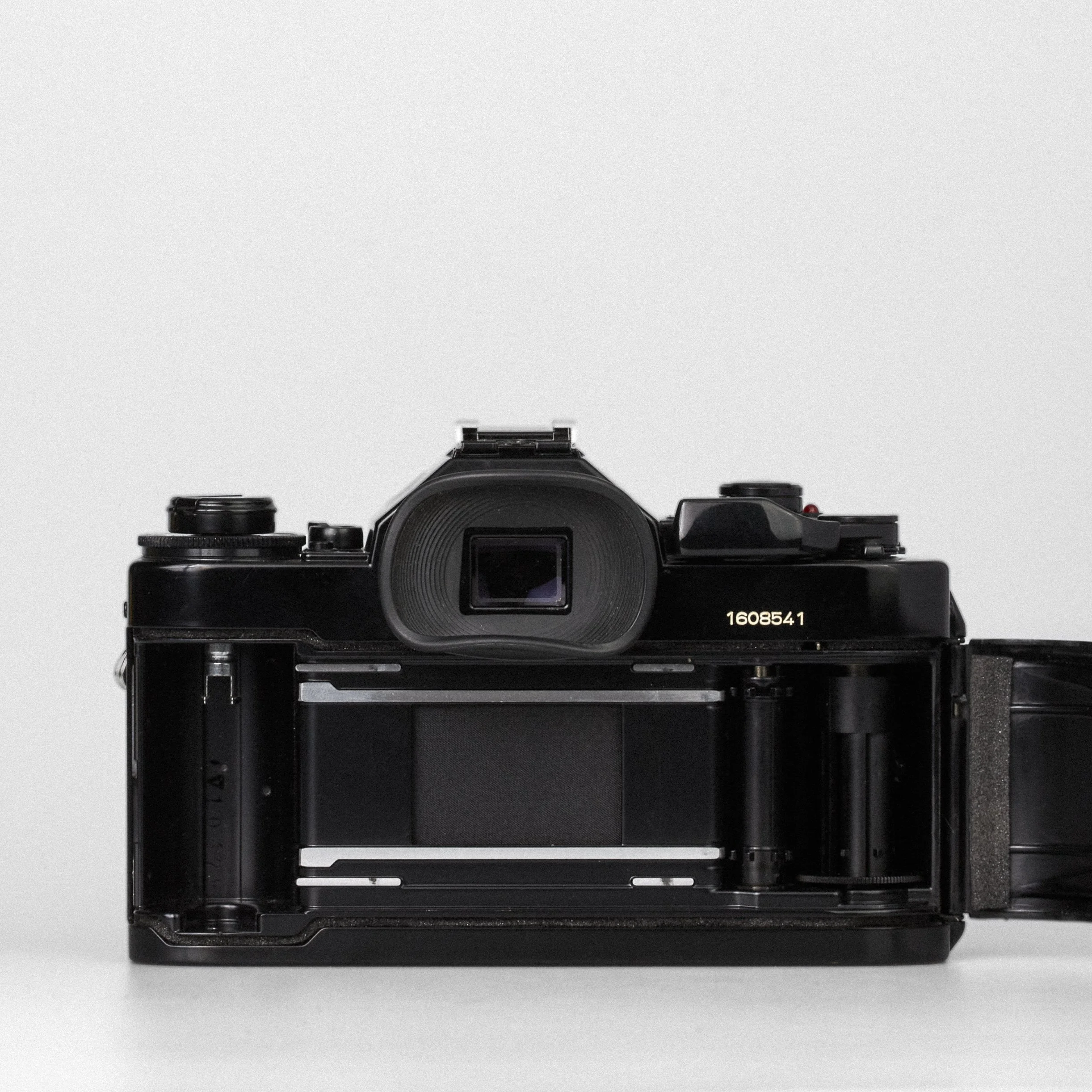 Carmencita cameras1218.jpg