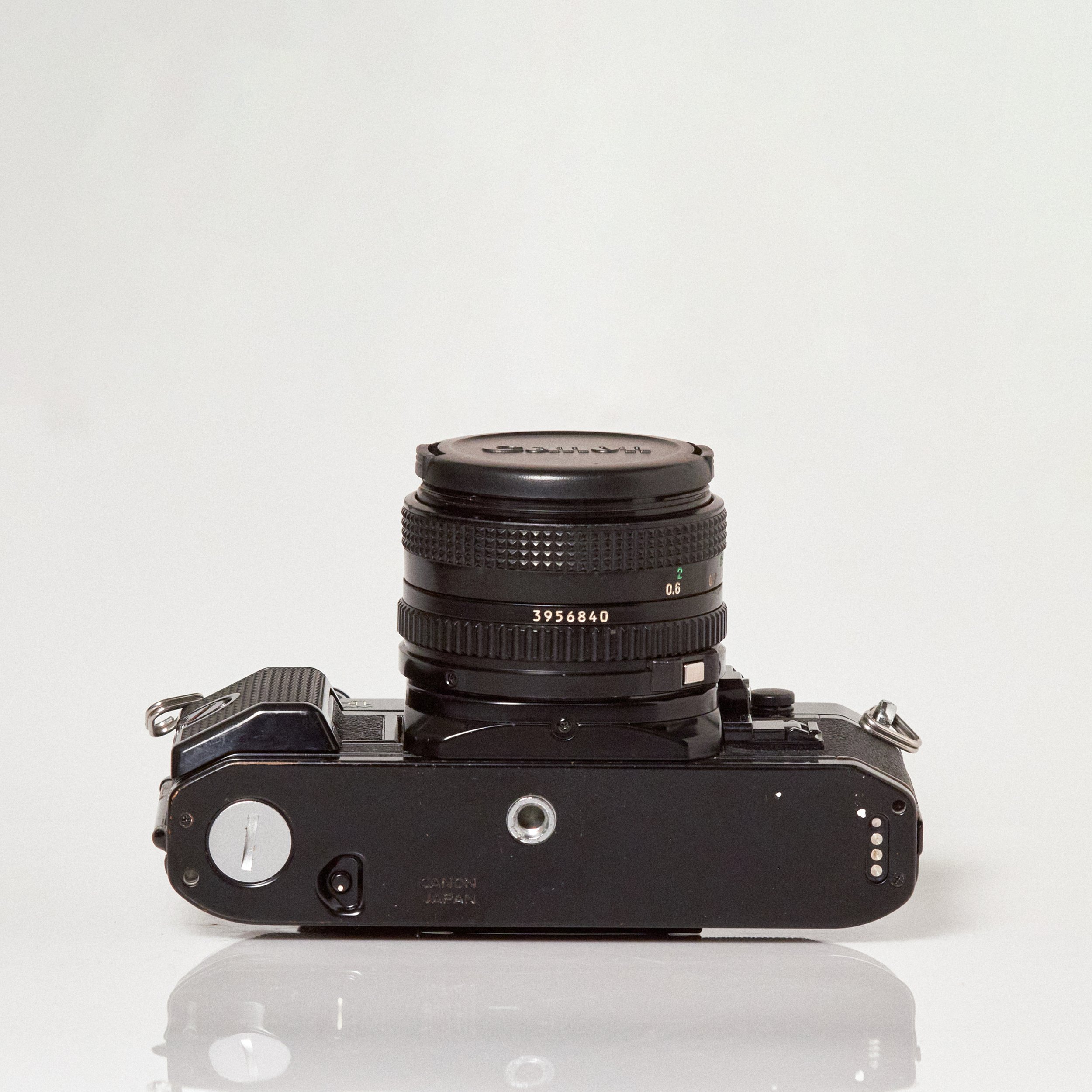 Carmencita cameras0129 1.jpg