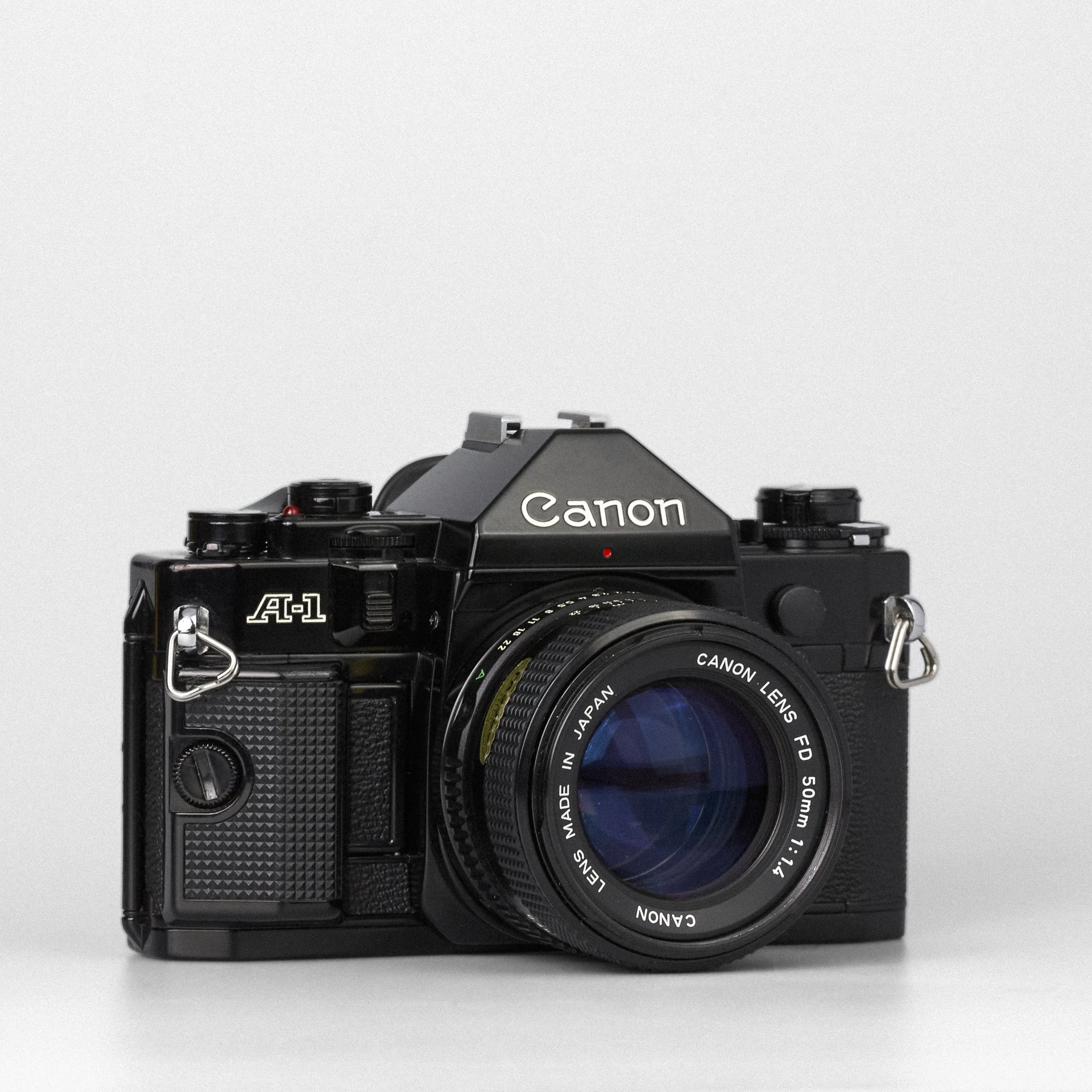 Carmencita cameras1213.jpg