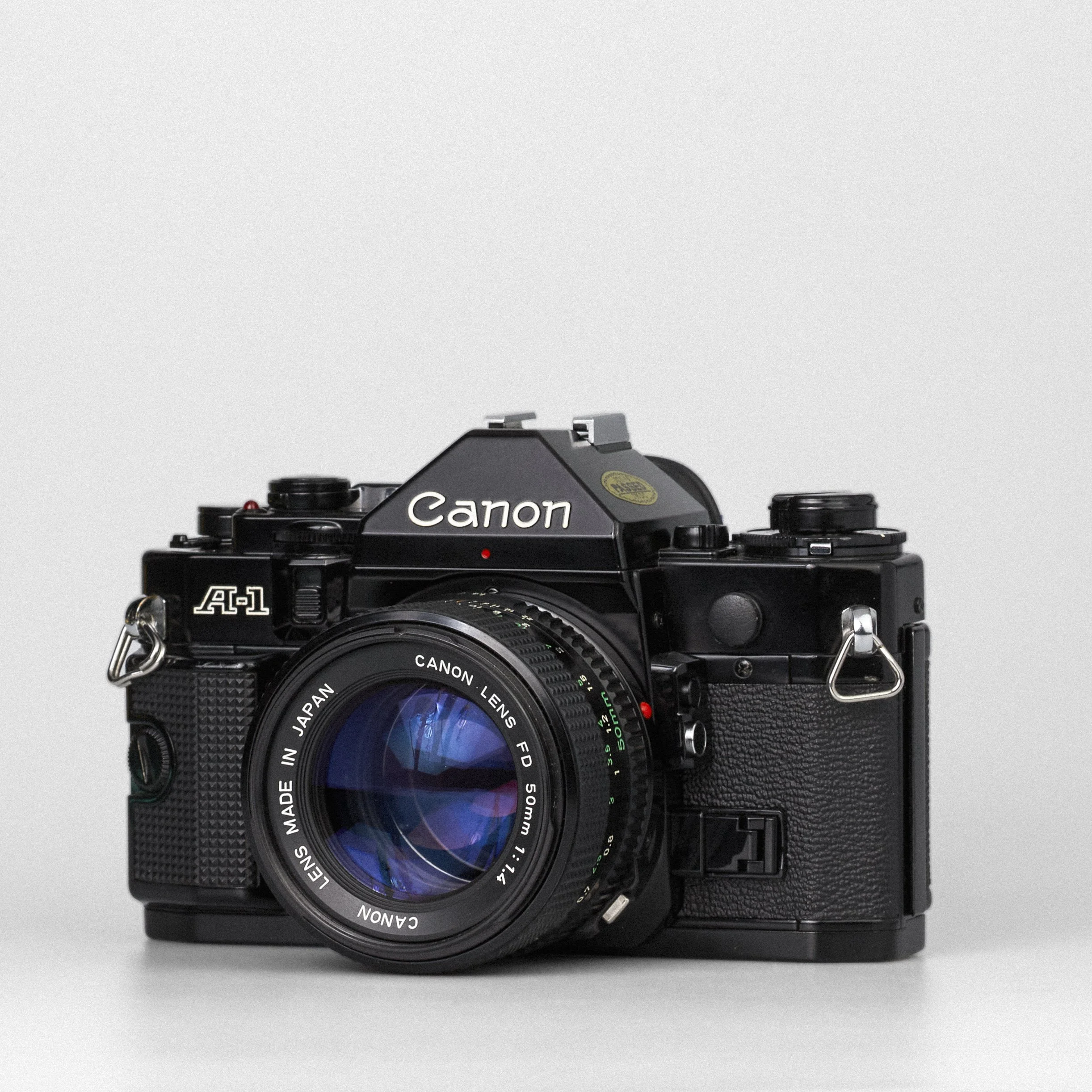 Carmencita cameras1215.jpg