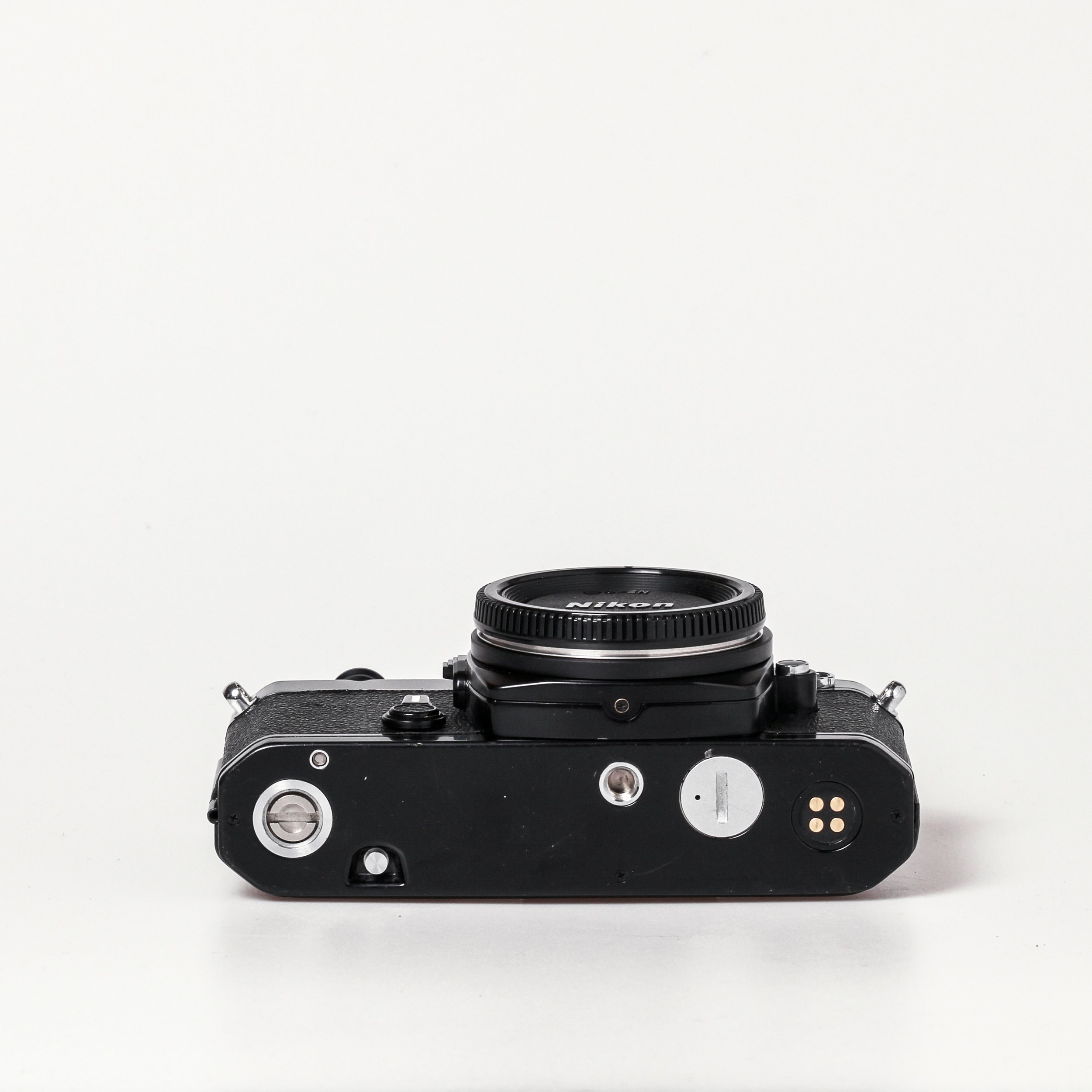 Carmencita cameras0118 1.jpg