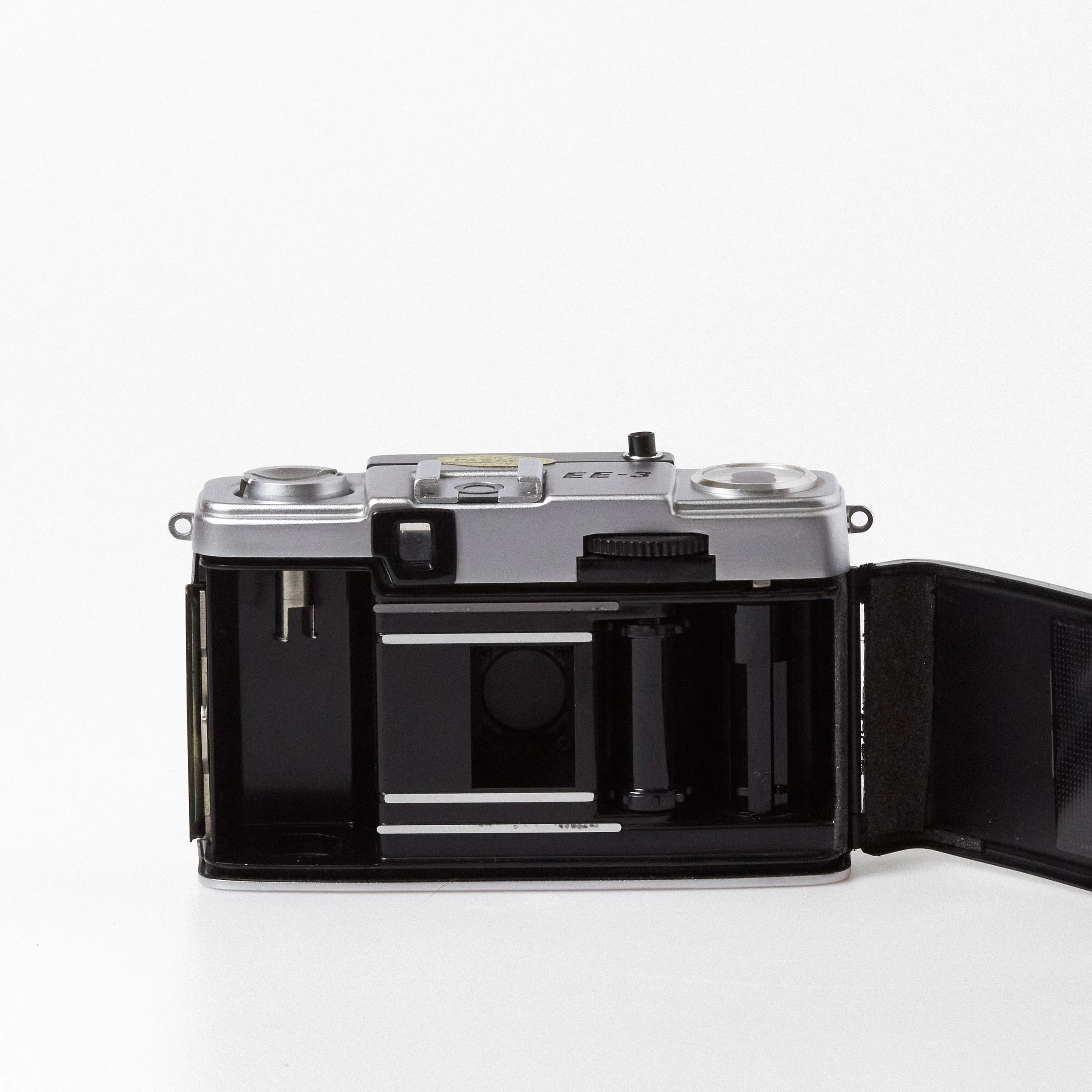 Carmencita cameras0831.jpg