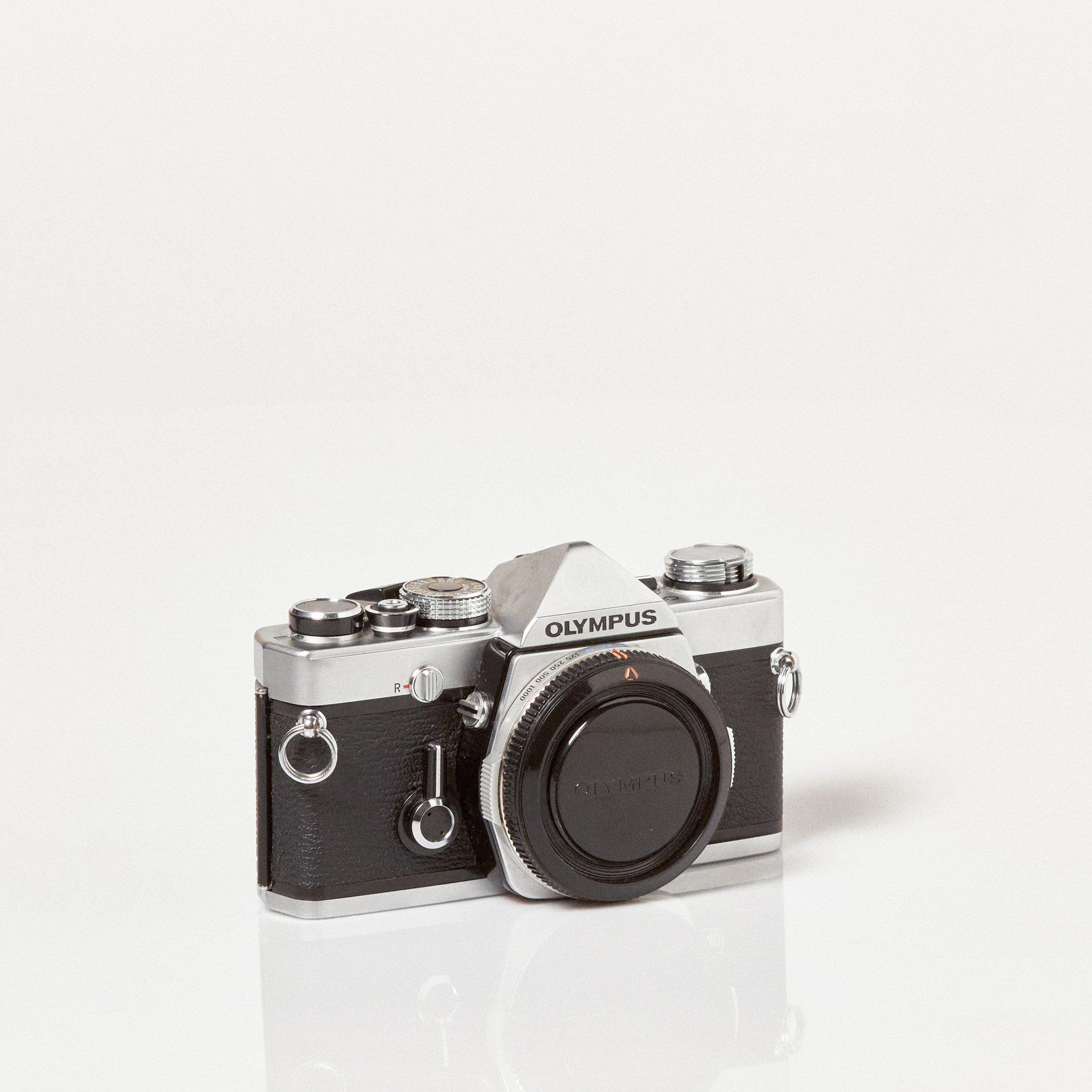 Carmencita cameras0062.jpg