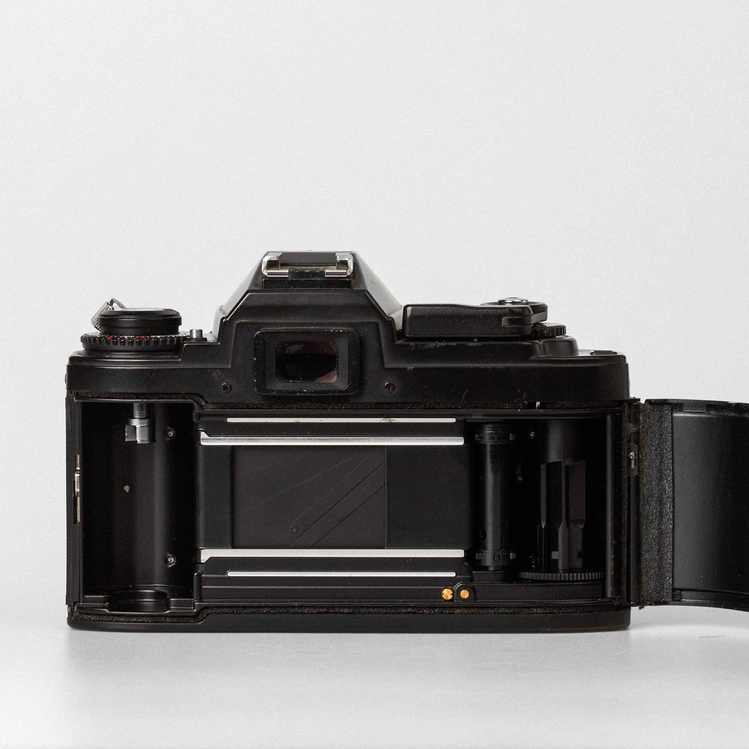 Carmencita cameras3484.jpg