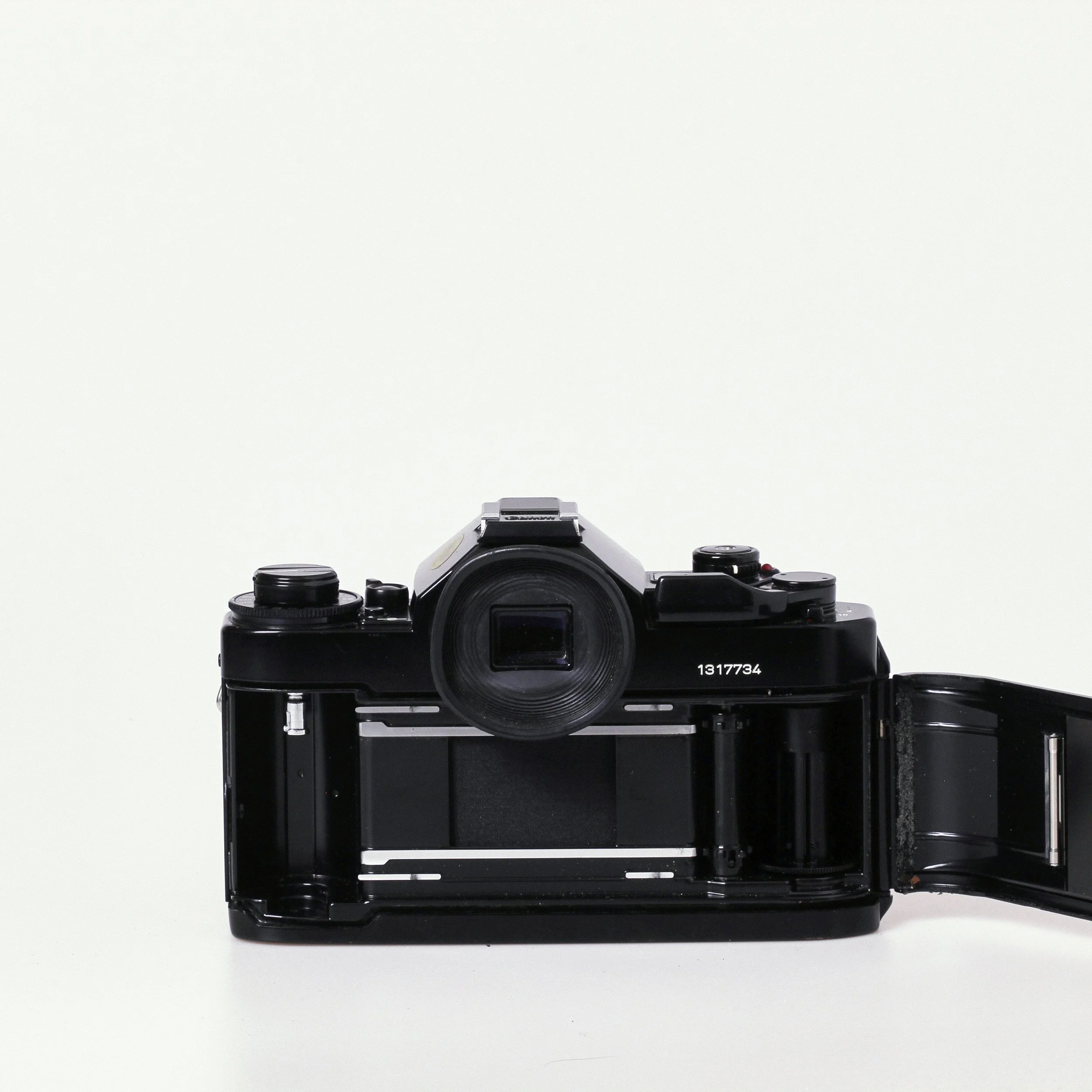 Carmencita cameras0336 1.jpg