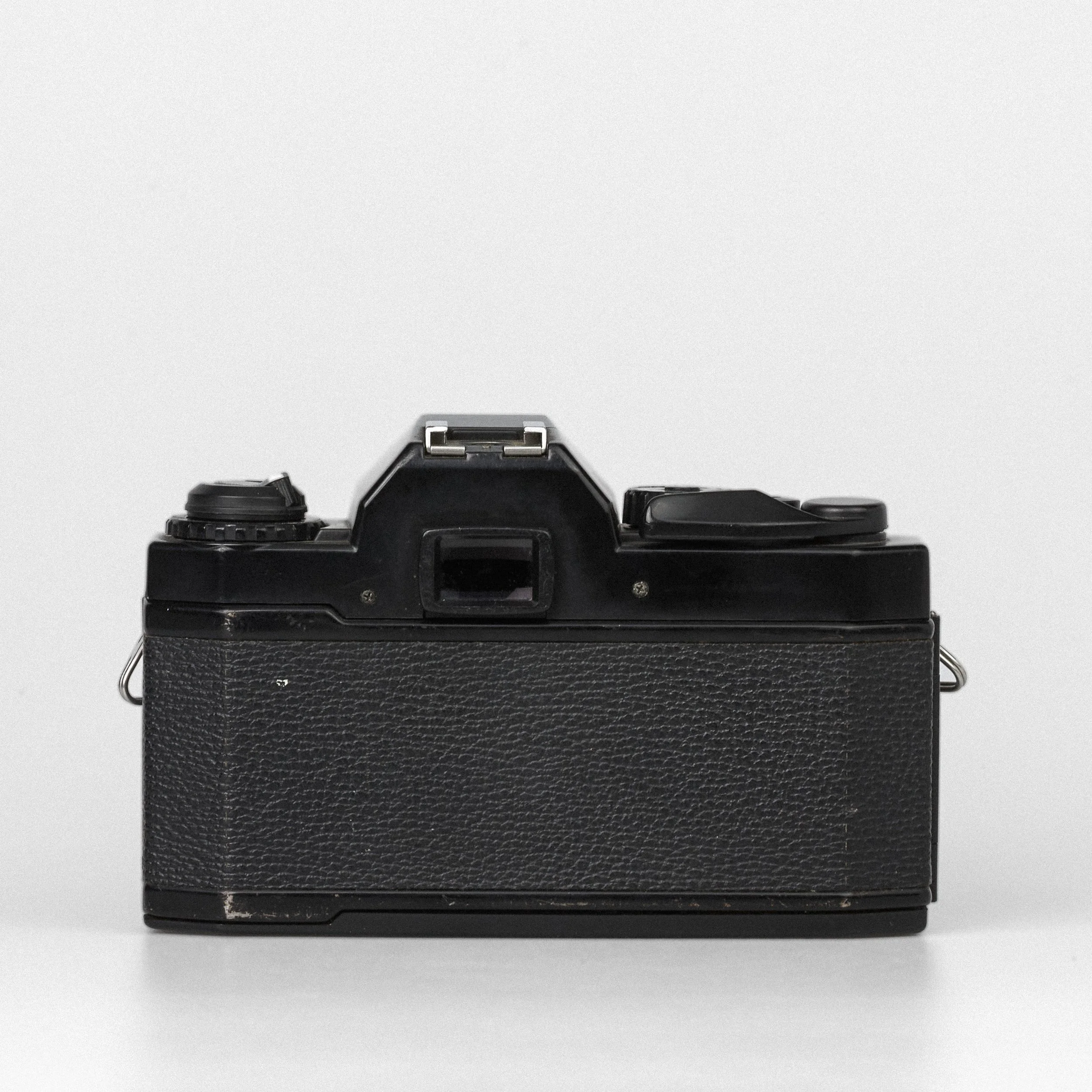 Carmencita cameras0150.jpg