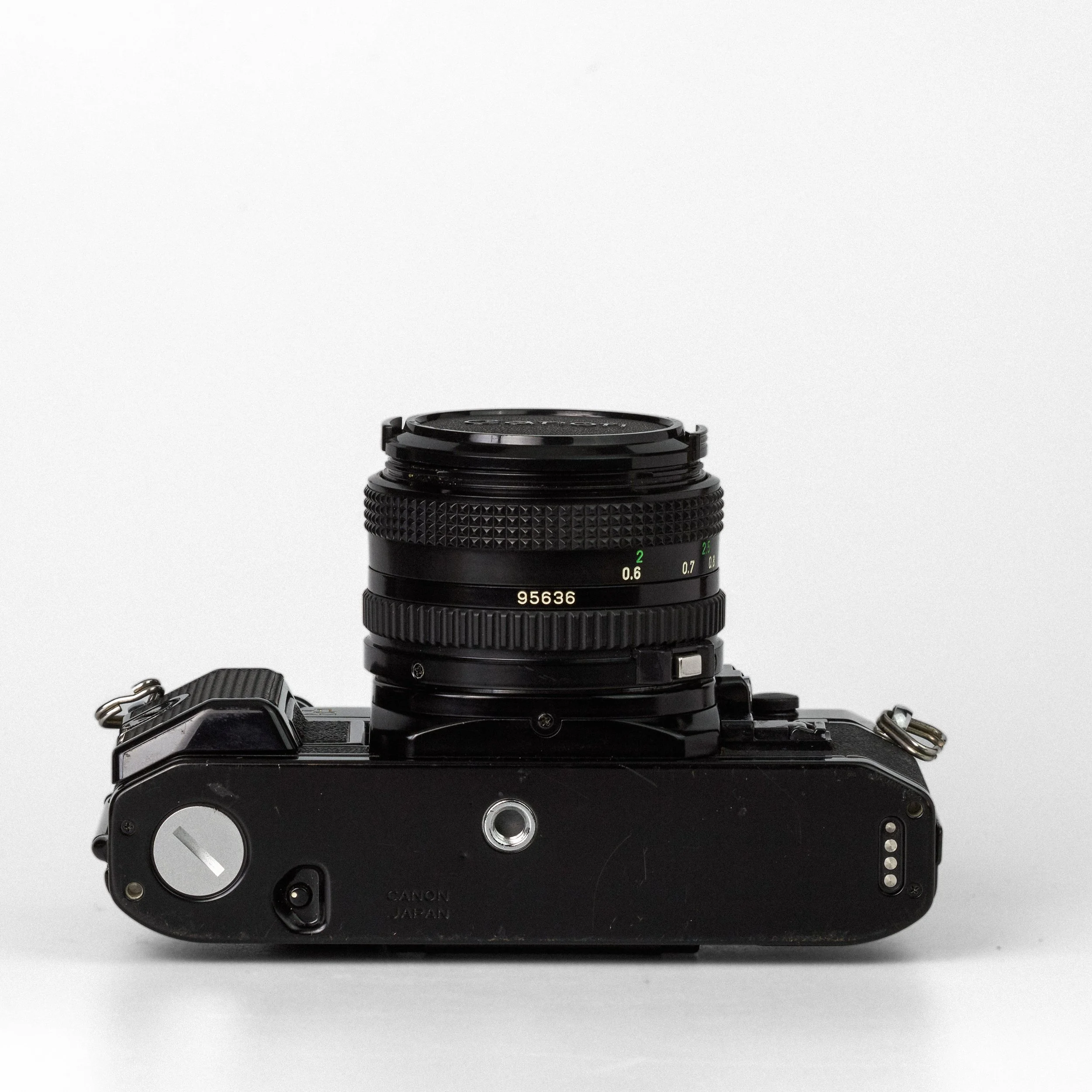 Carmencita cameras3708.jpg