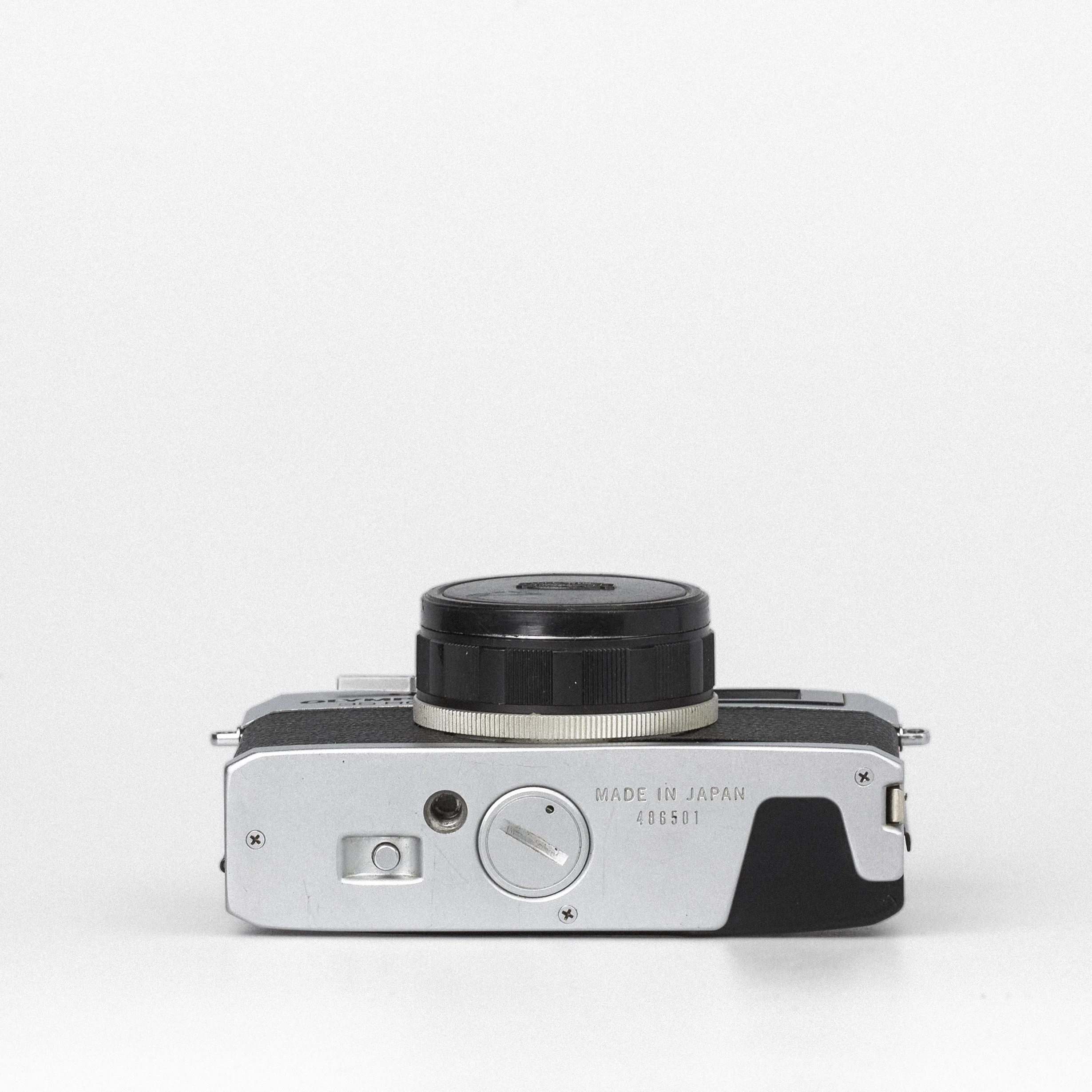 Carmencita cameras0345.jpg