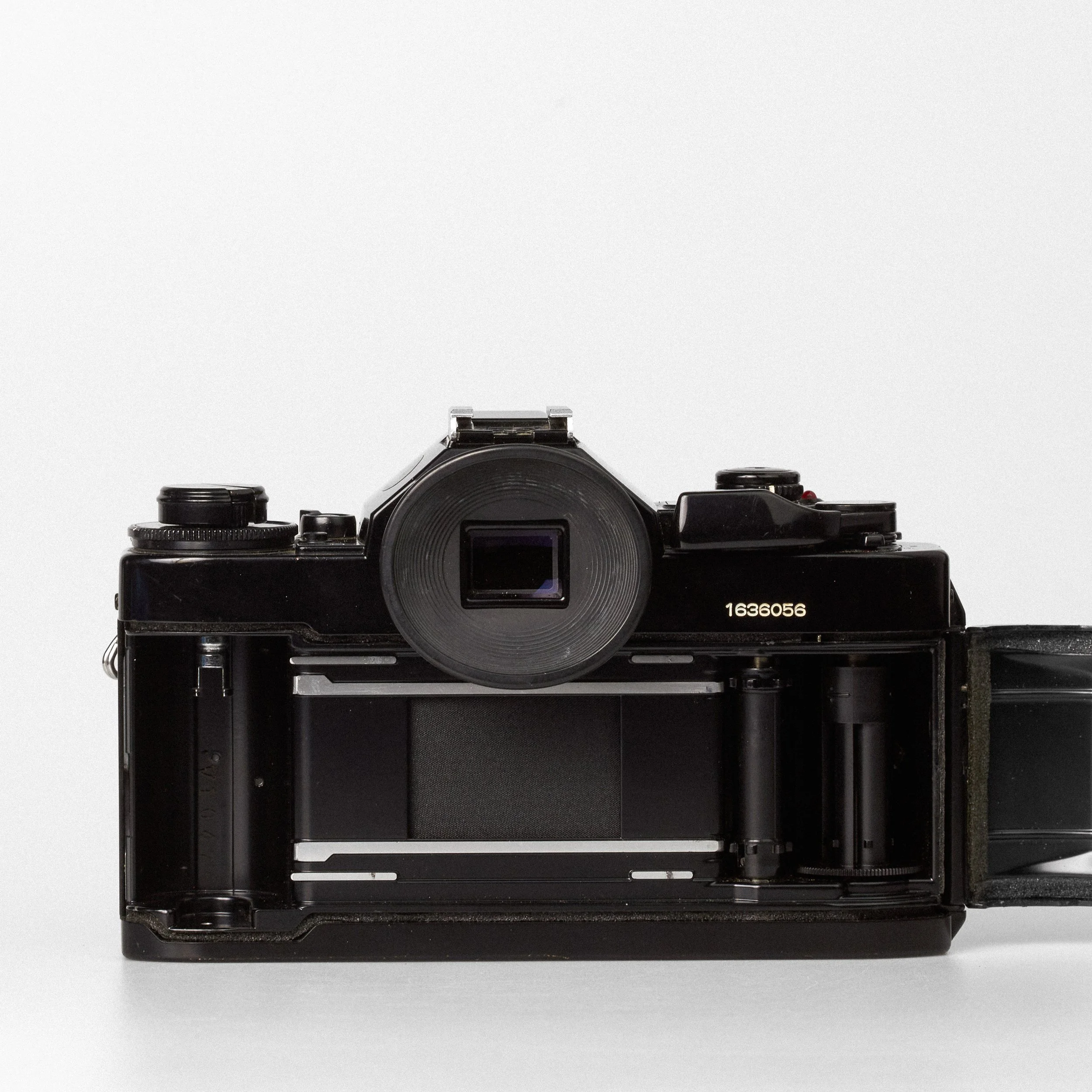 Carmencita cameras3200.jpg